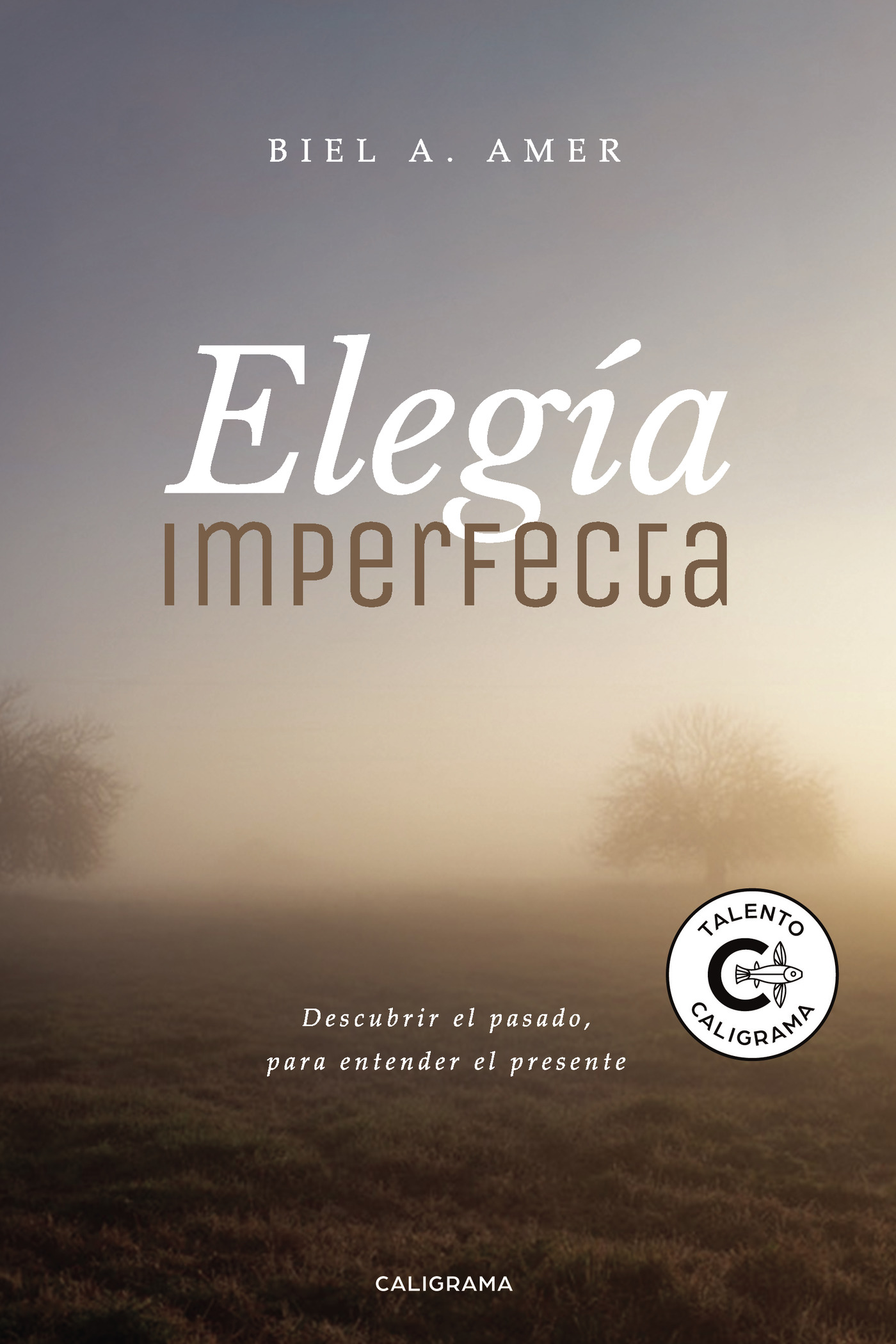 Portada de Elegía imperfecta