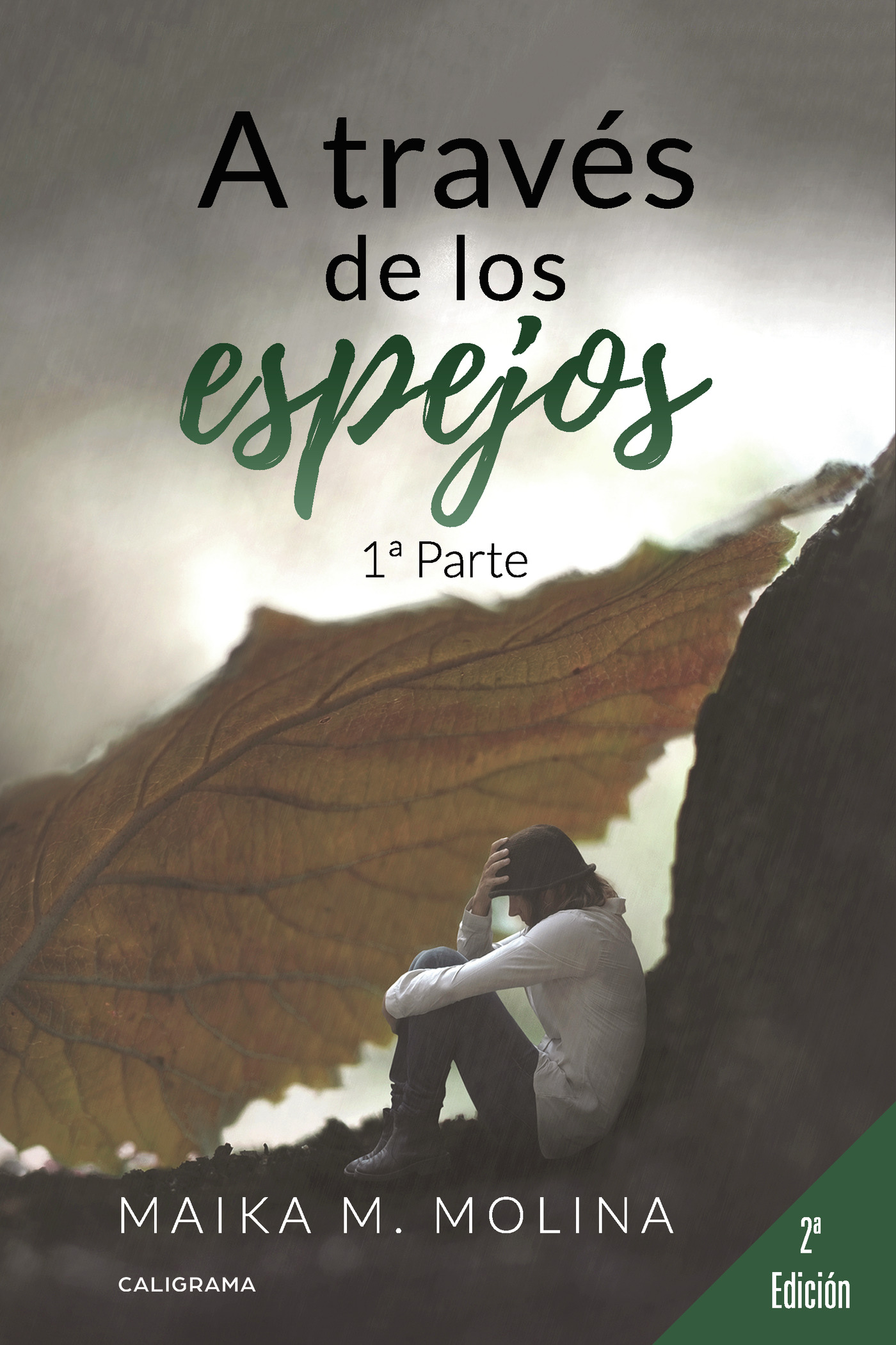 Portada de A través de los espejos