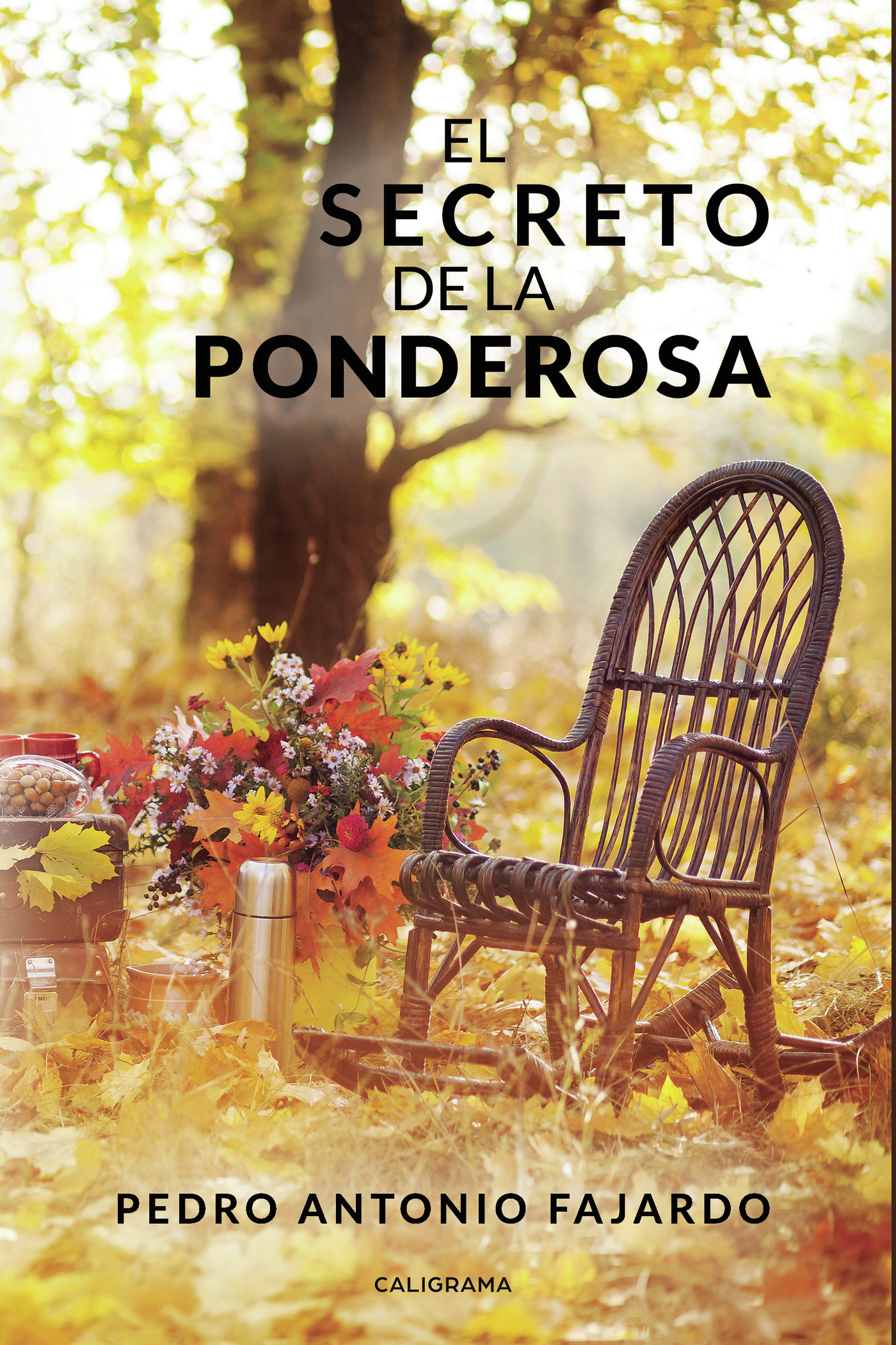 Portada de El secreto de La Ponderosa