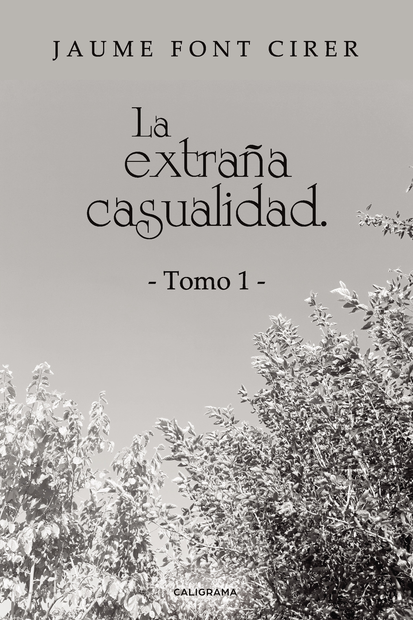 Portada de La extraña casualidad. Tomo 1
