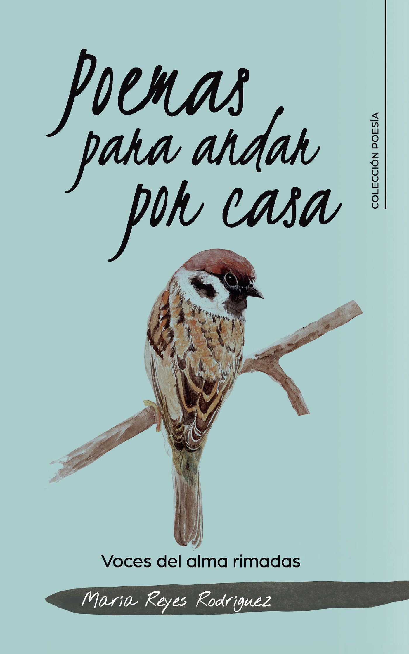 Portada de Poemas para andar por casa · María Reyes Rodríguez