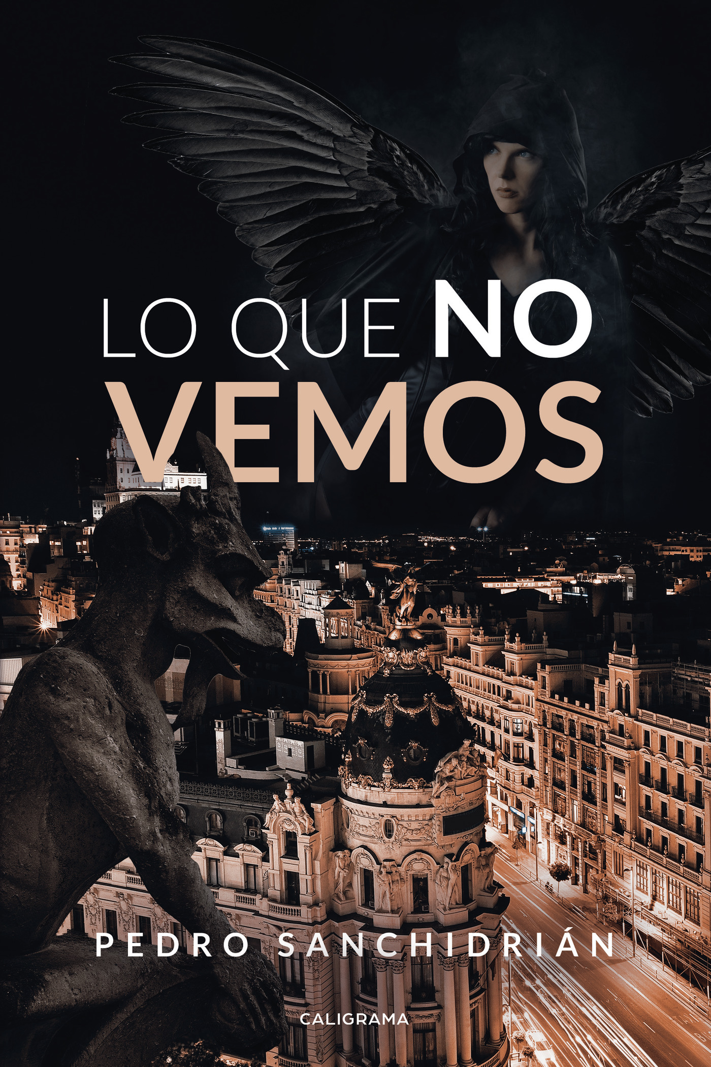 Portada de Lo que no vemos