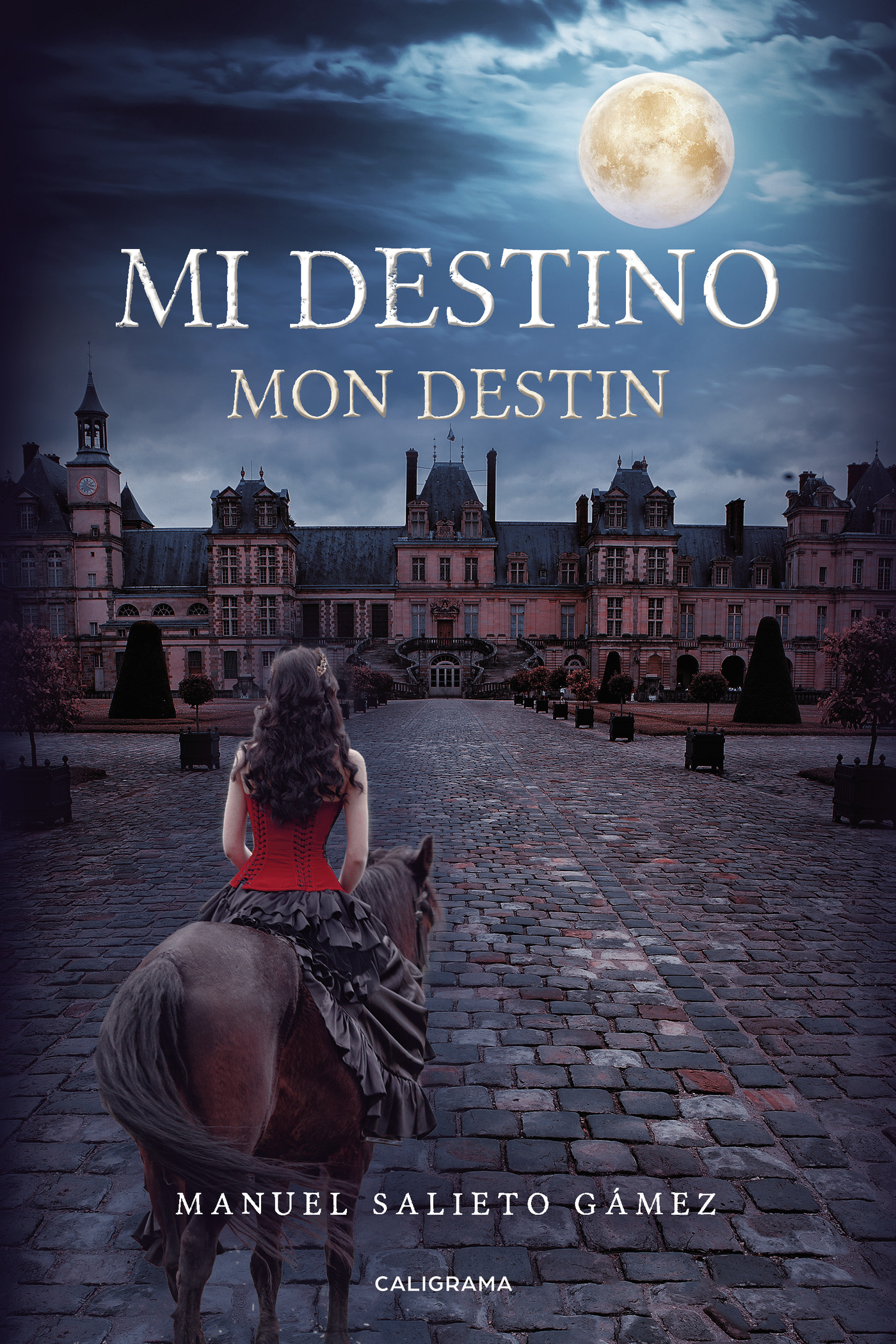 Portada de Mi destino · Manuel Salieto Gámez