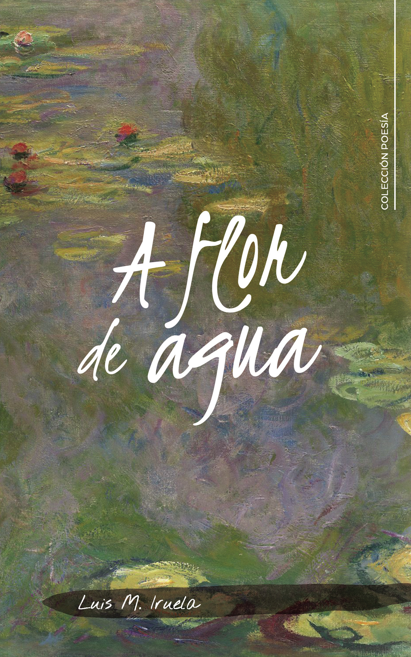 Portada de A flor de agua