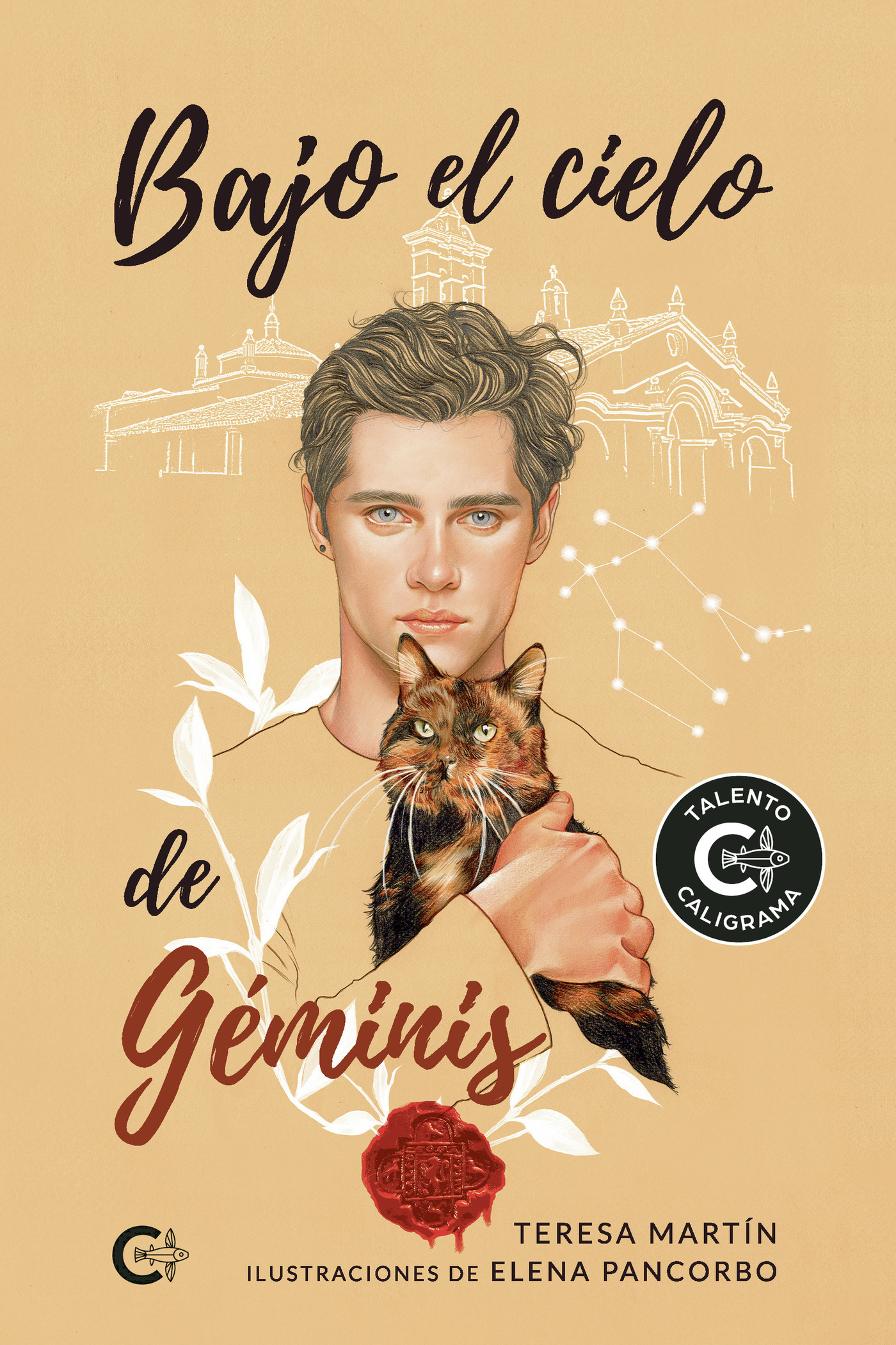 Portada de Bajo el cielo de Géminis