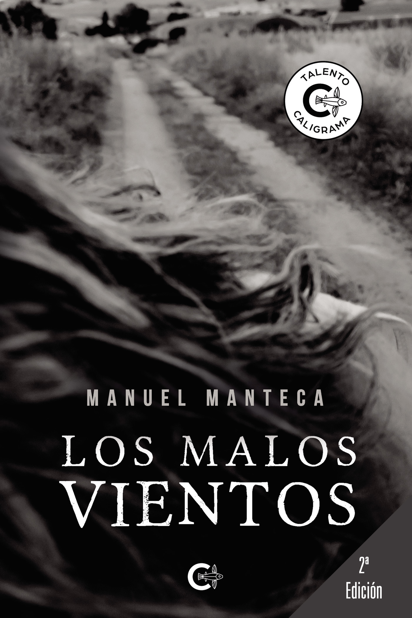 Portada de Los malos vientos
