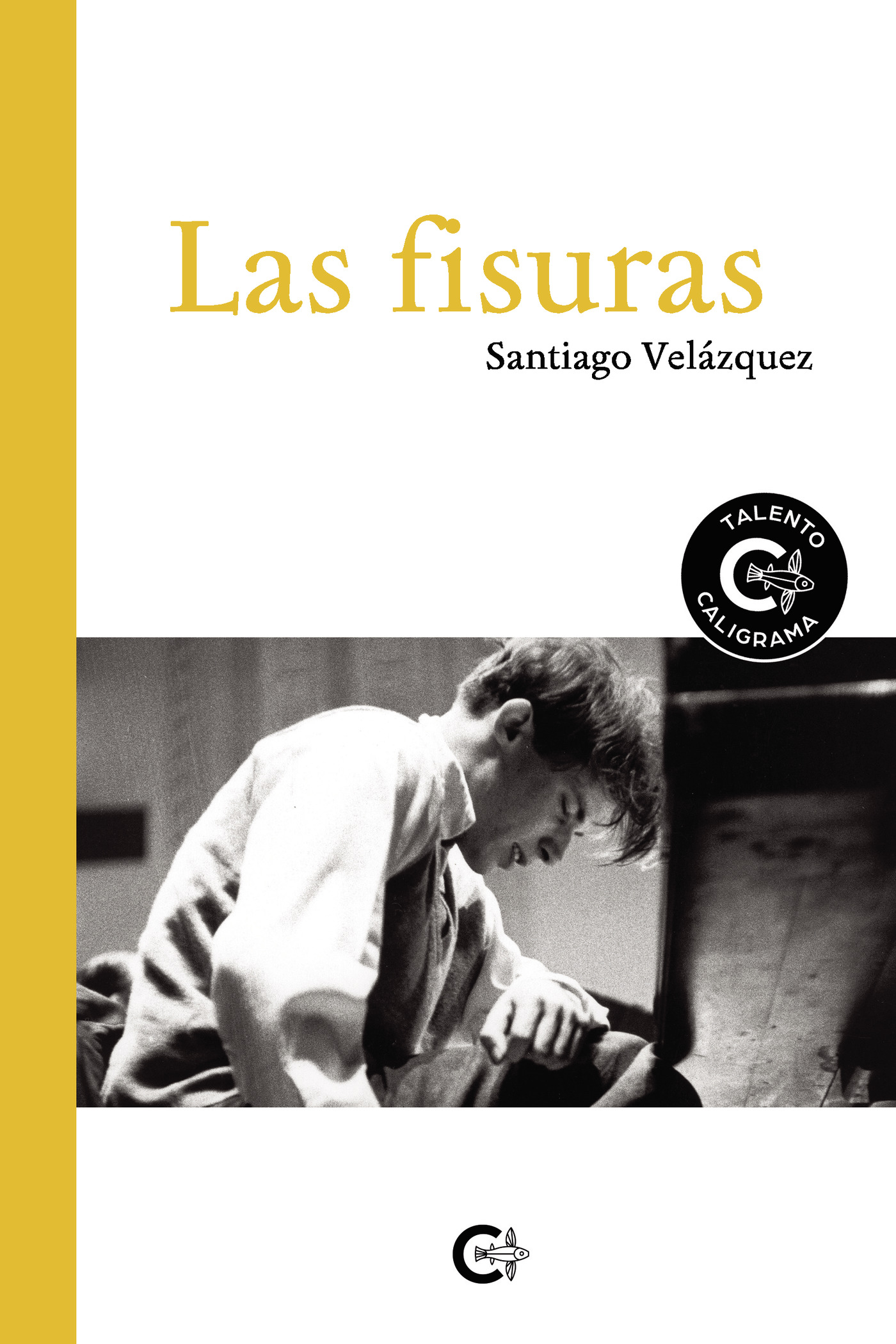 Portada de Las fisuras · Santiago Velázquez