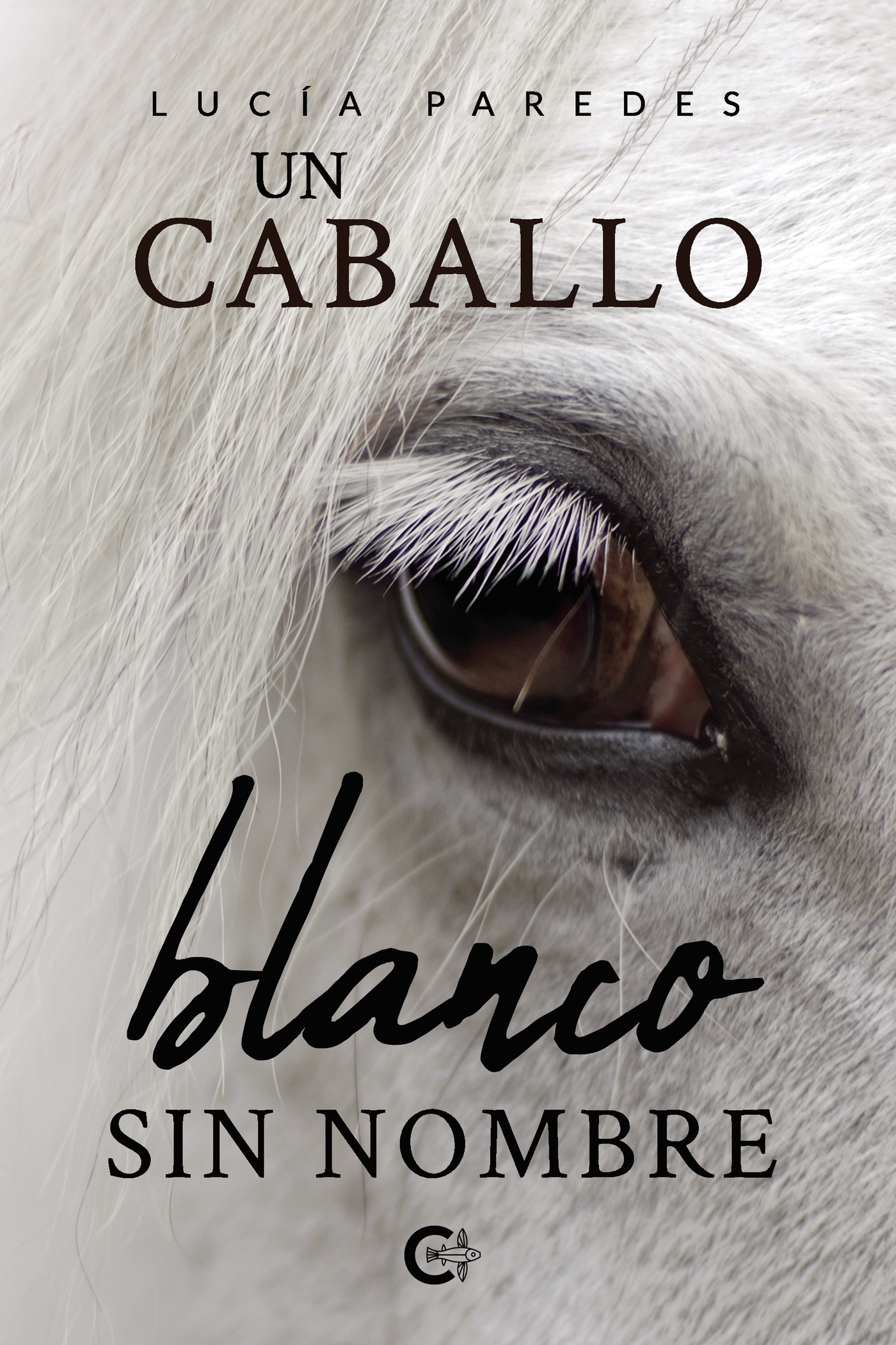 Portada de Un caballo blanco sin nombre