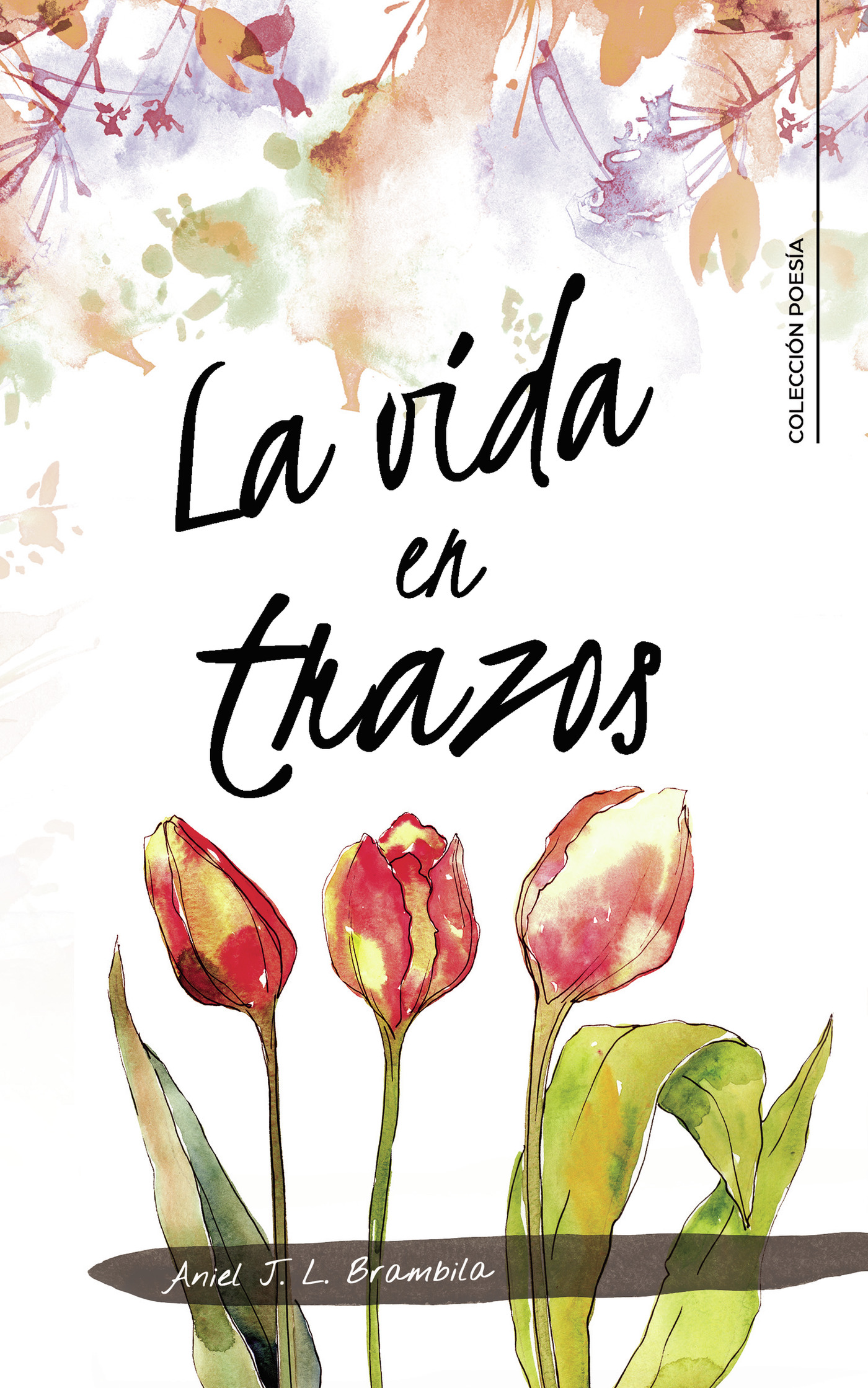 Portada de La vida en trazos · Aniel J. L Brambila