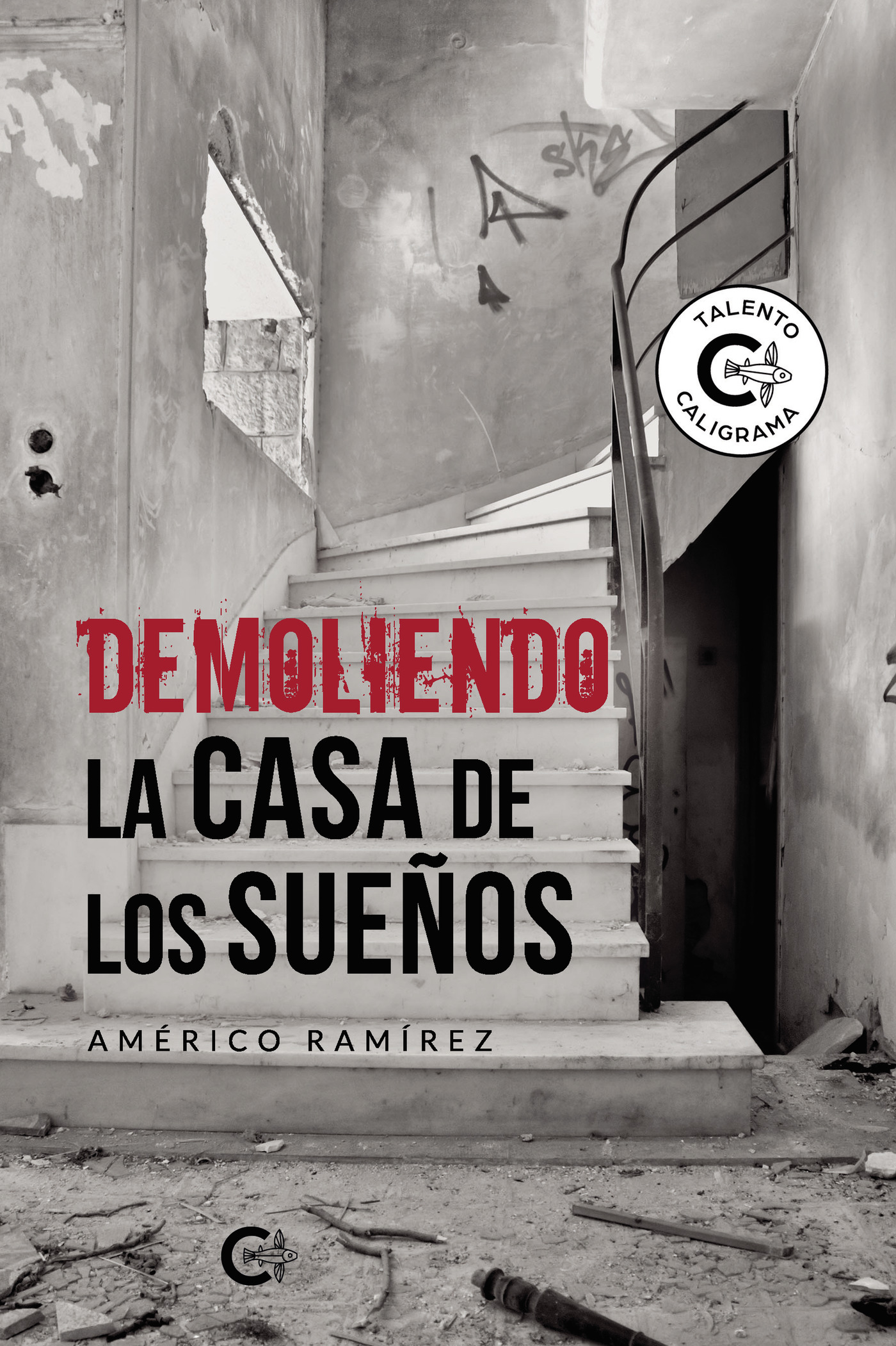 Portada de Demoliendo la casa de los sueños