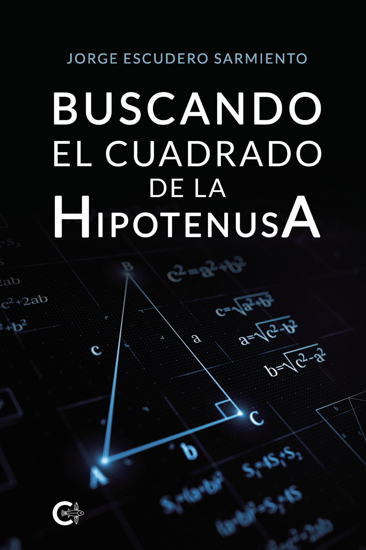 Portada de Buscando el cuadrado de la hipotenusa