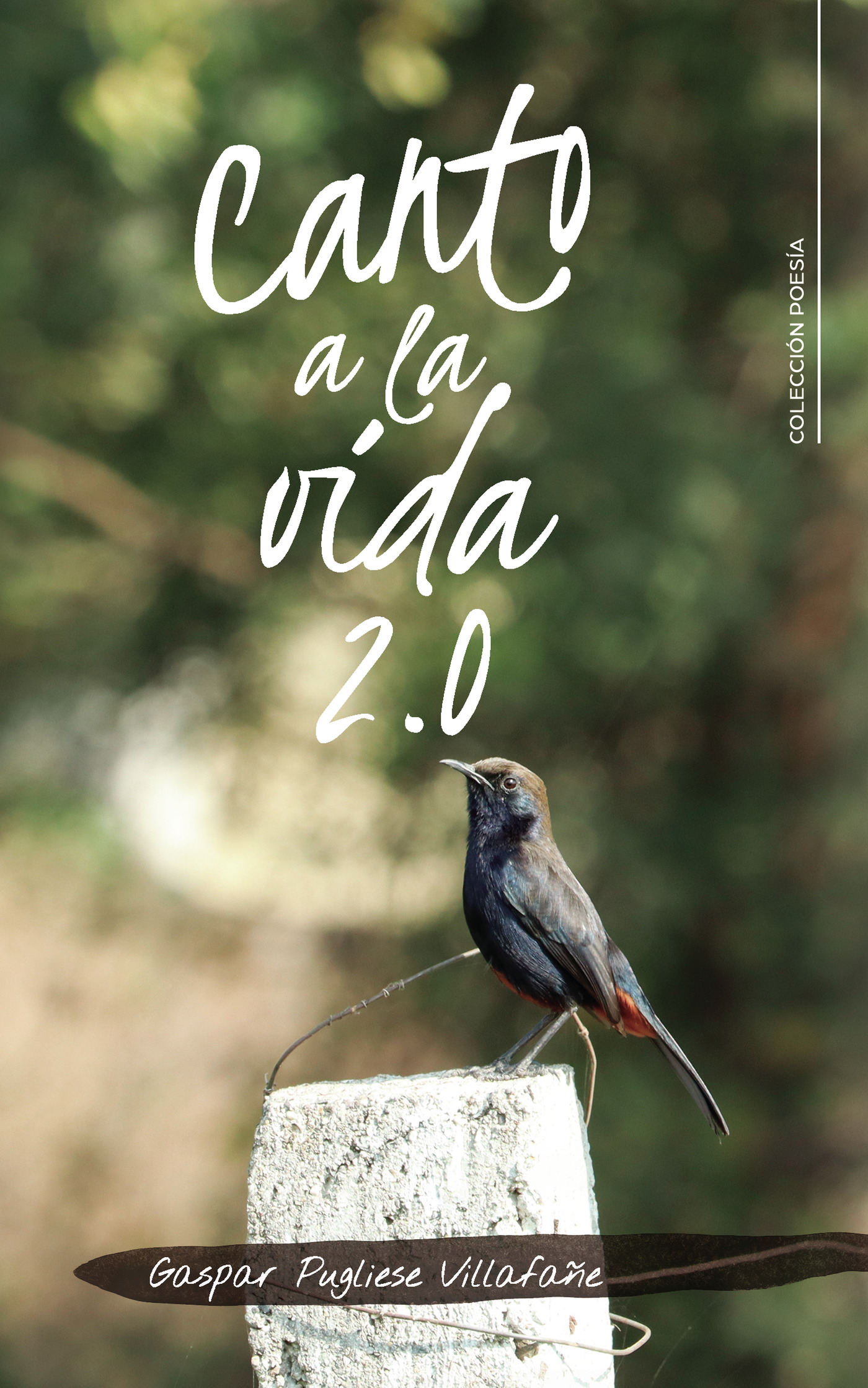 Portada de Canto a la vida 2.0