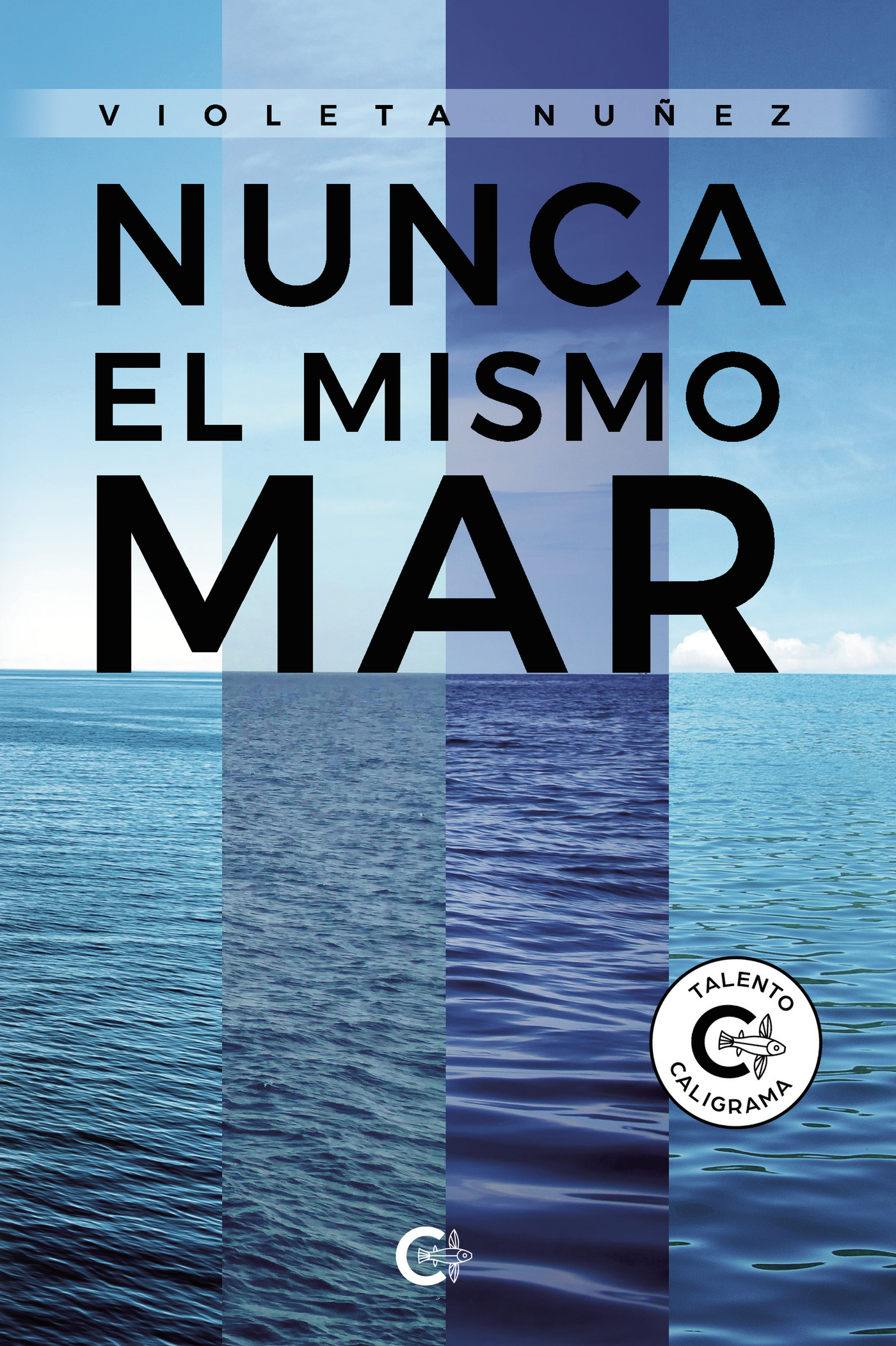 Portada de Nunca el mismo mar