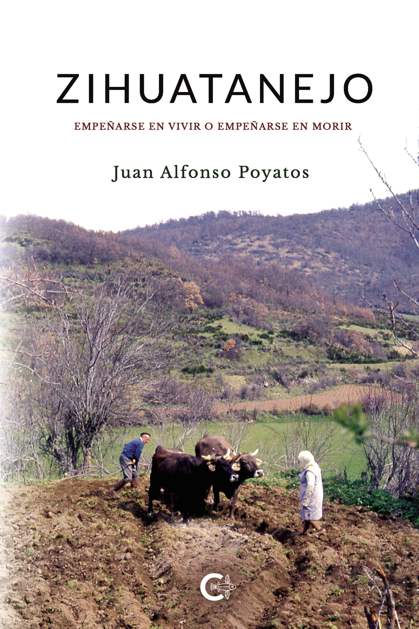 Portada de Zihuatanejo · Juan Alfonso Poyatos