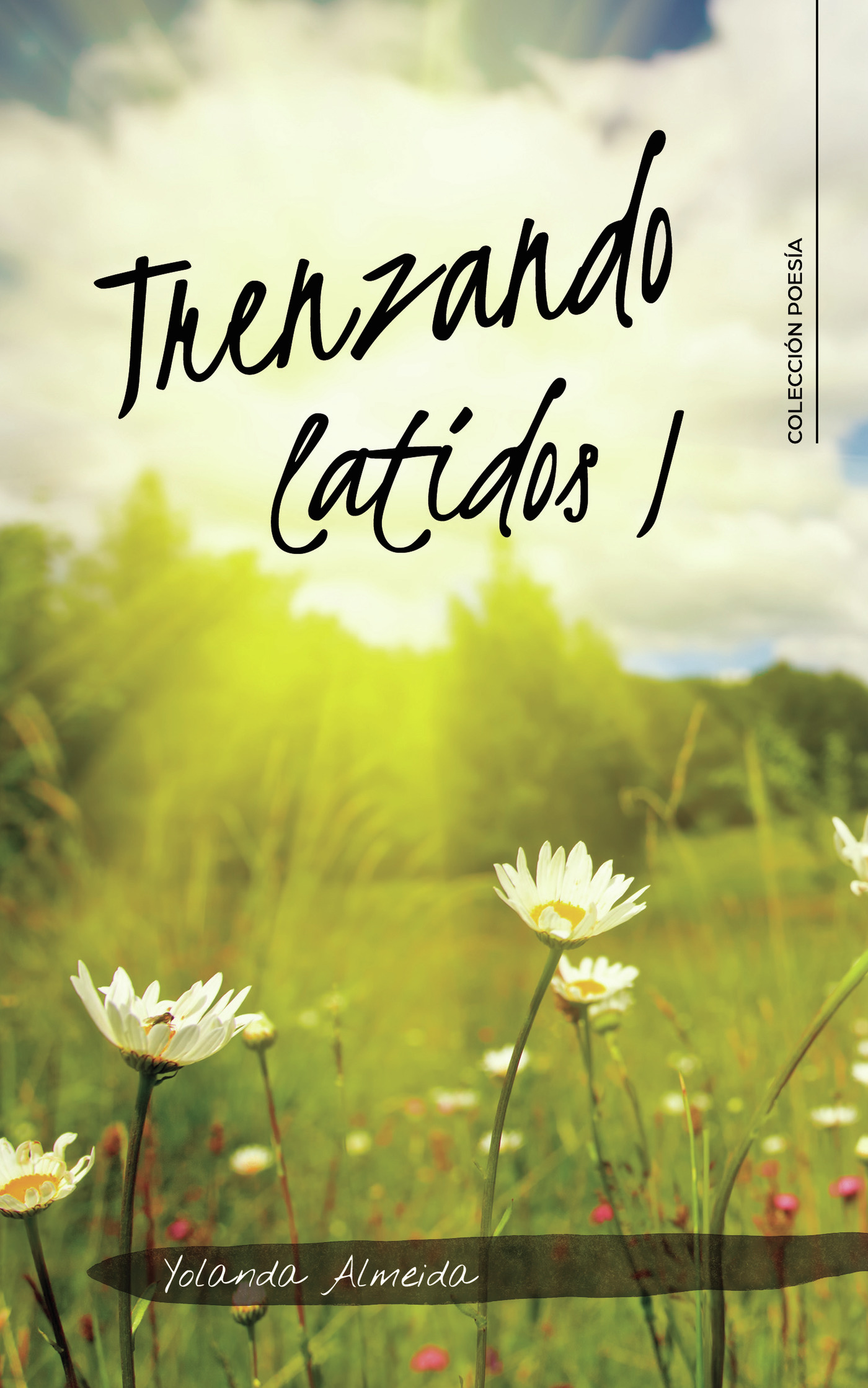 Portada de Trenzando latidos I