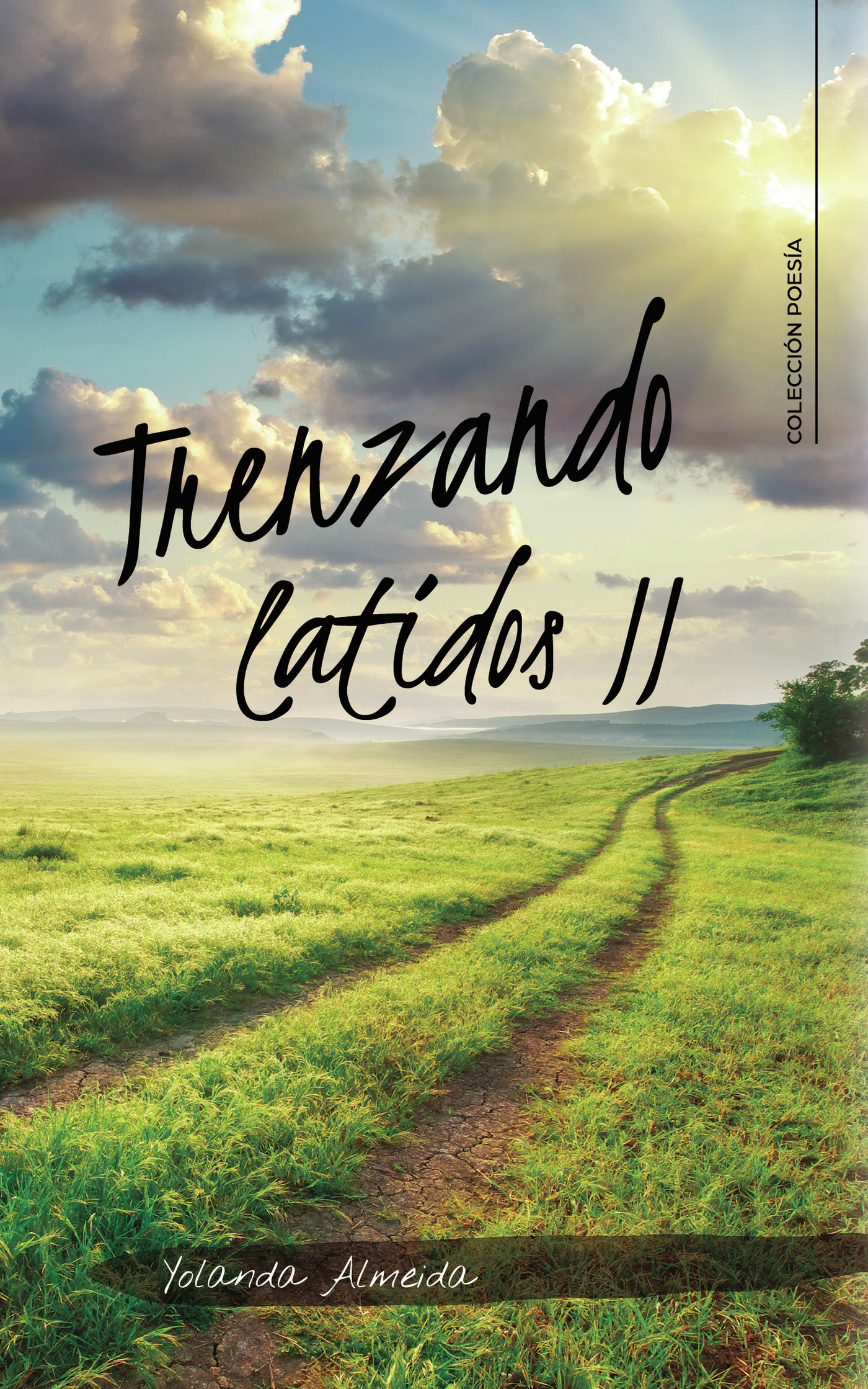 Portada de Trenzando latidos II