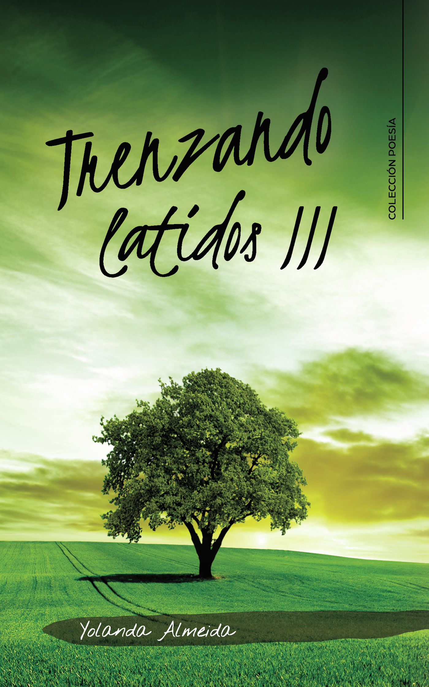 Portada de Trenzando latidos III