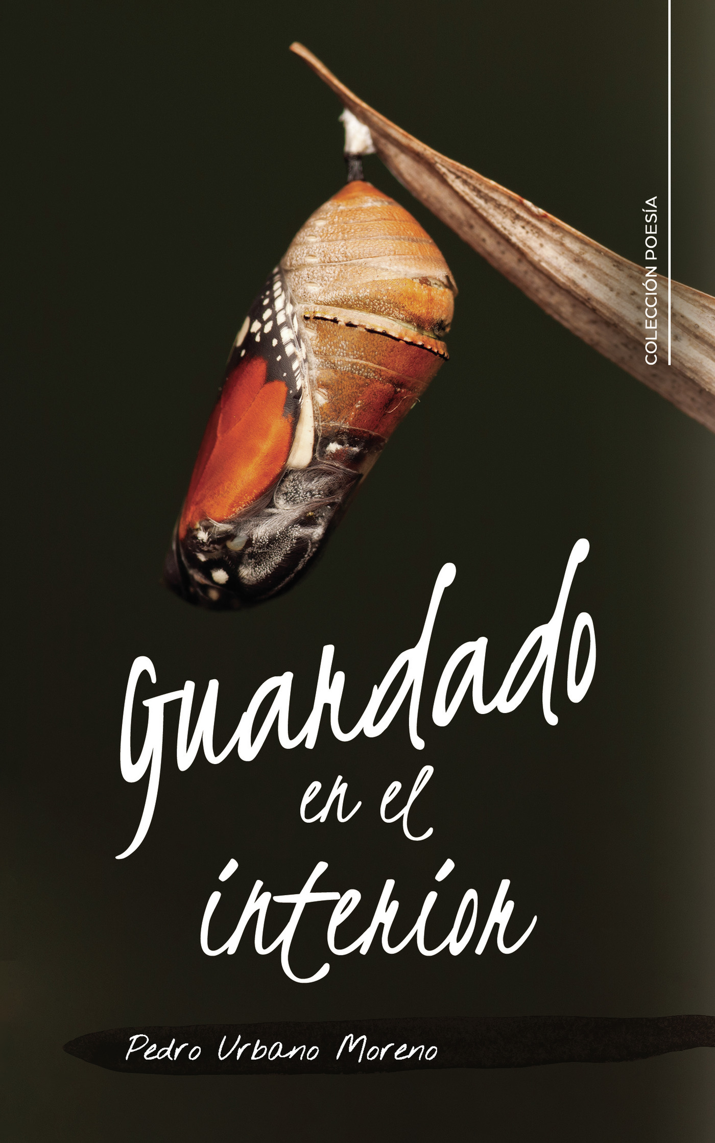 Portada de Guardado en el interior
