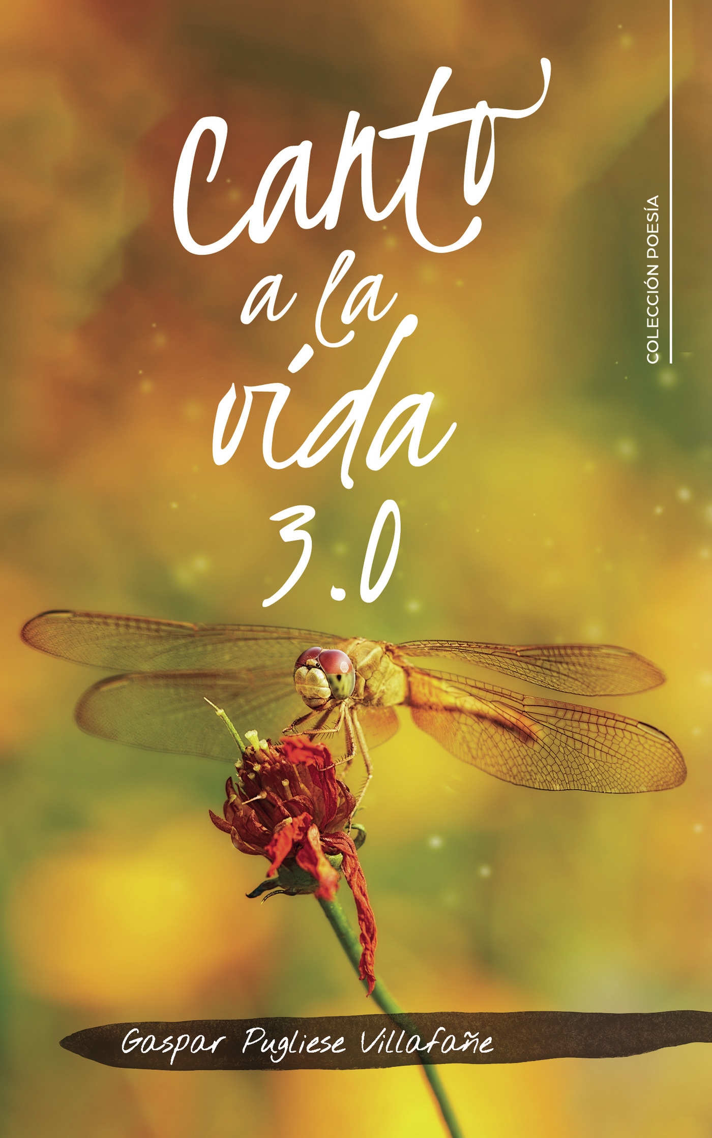Portada de Canto a la vida 3.0
