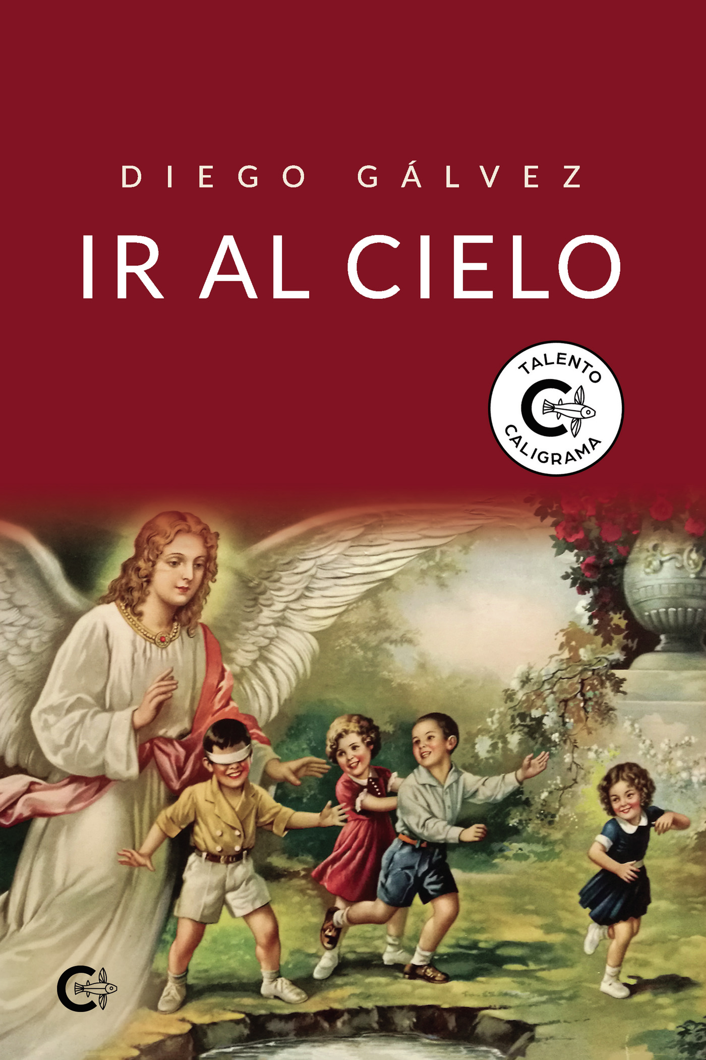 Portada de Ir al cielo