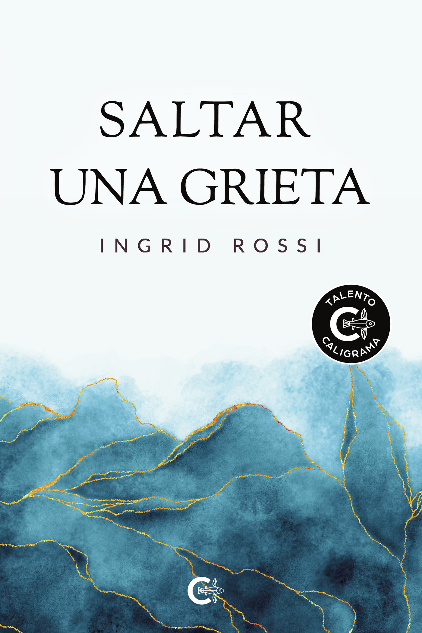 Portada de Saltar una grieta
