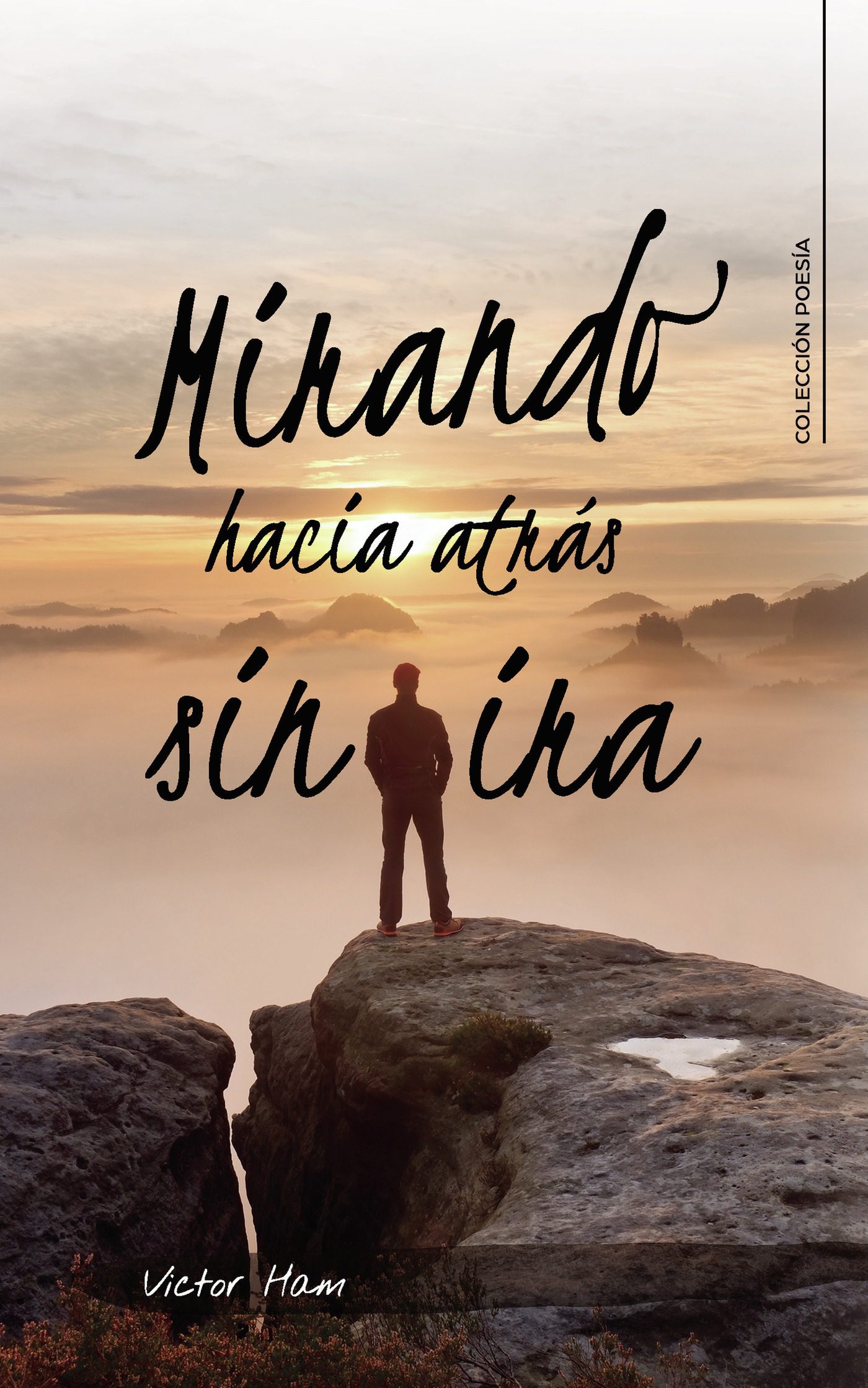 Portada de Mirando hacia atrás sin ira