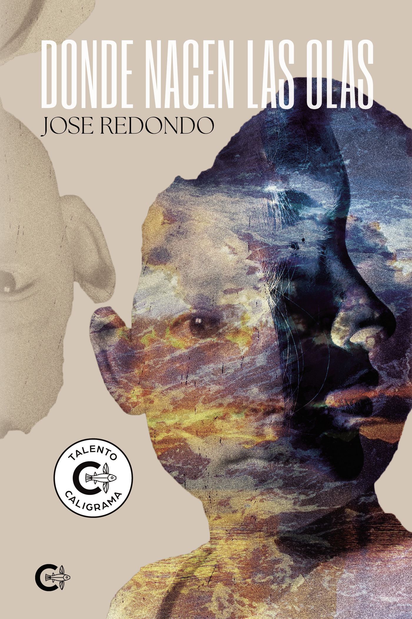Portada de Donde nacen las olas · Jose Redondo