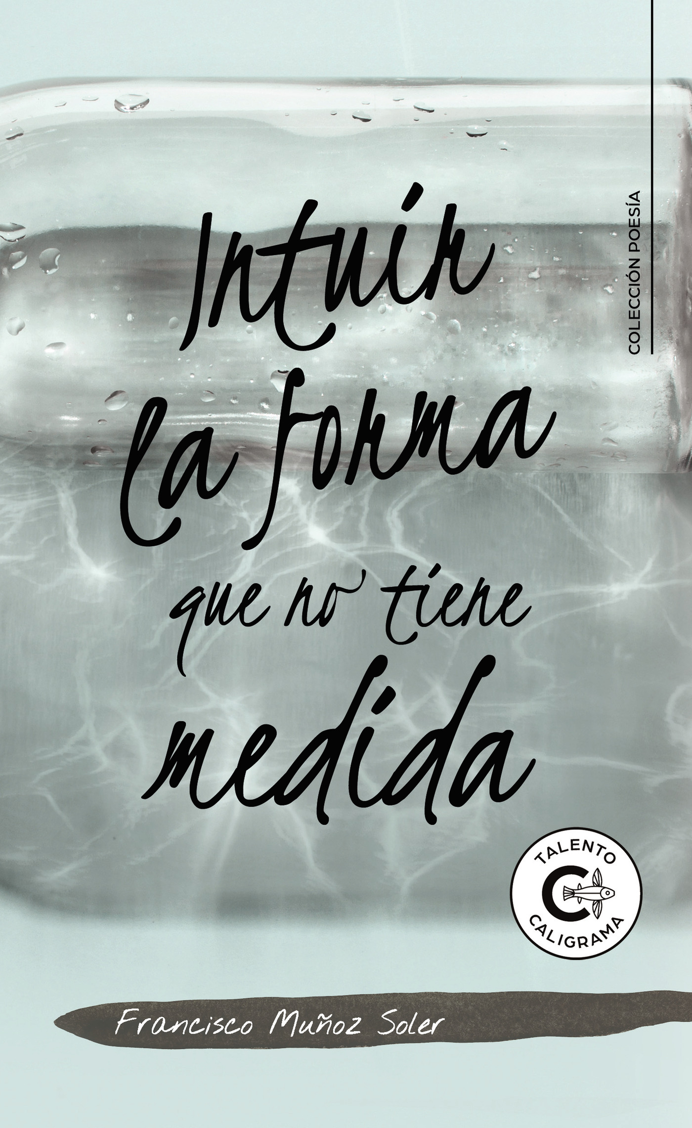 Portada de Intuir la forma que no tiene medida