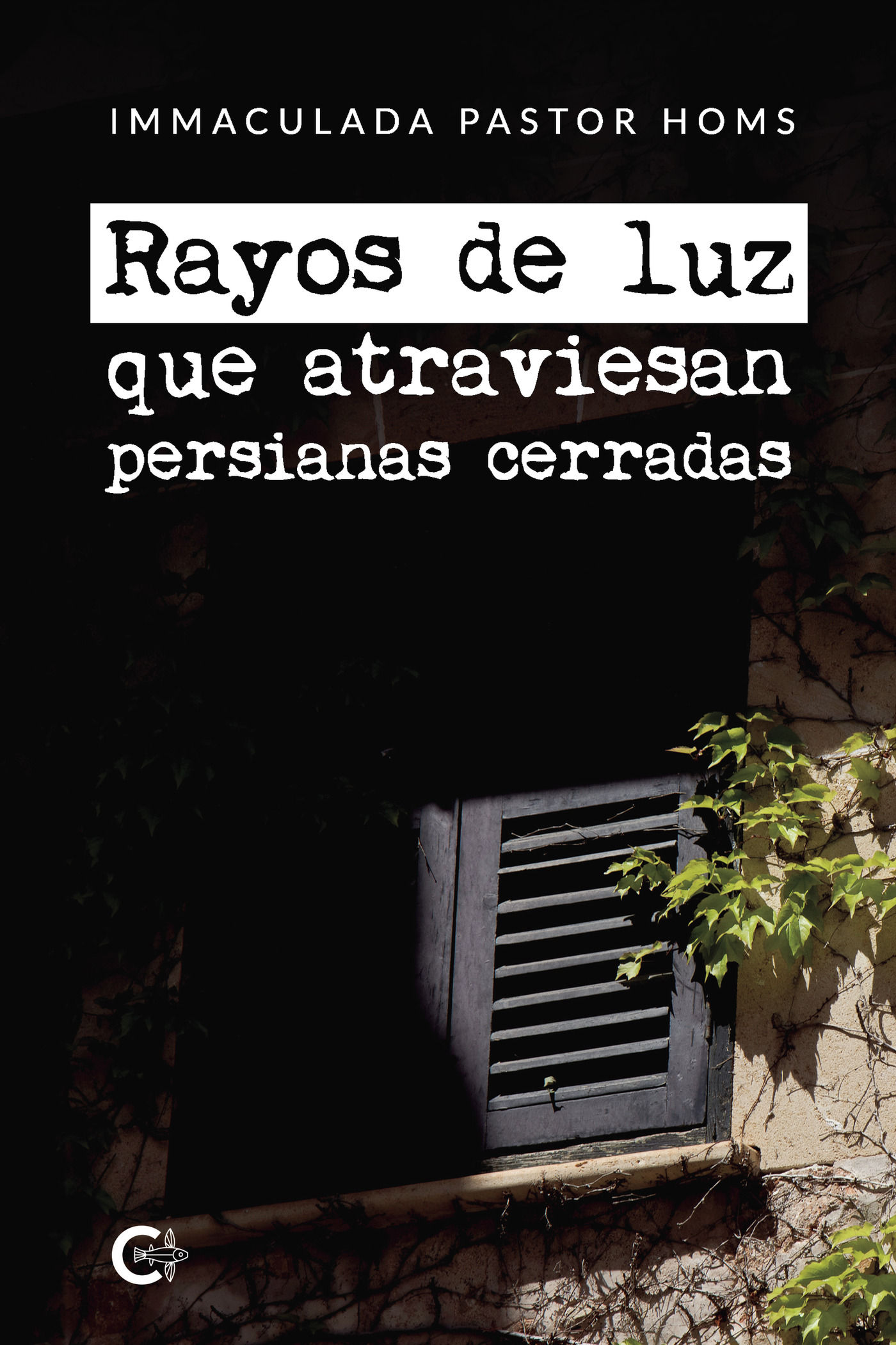 Portada de Rayos de luz que atraviesan persianas cerradas