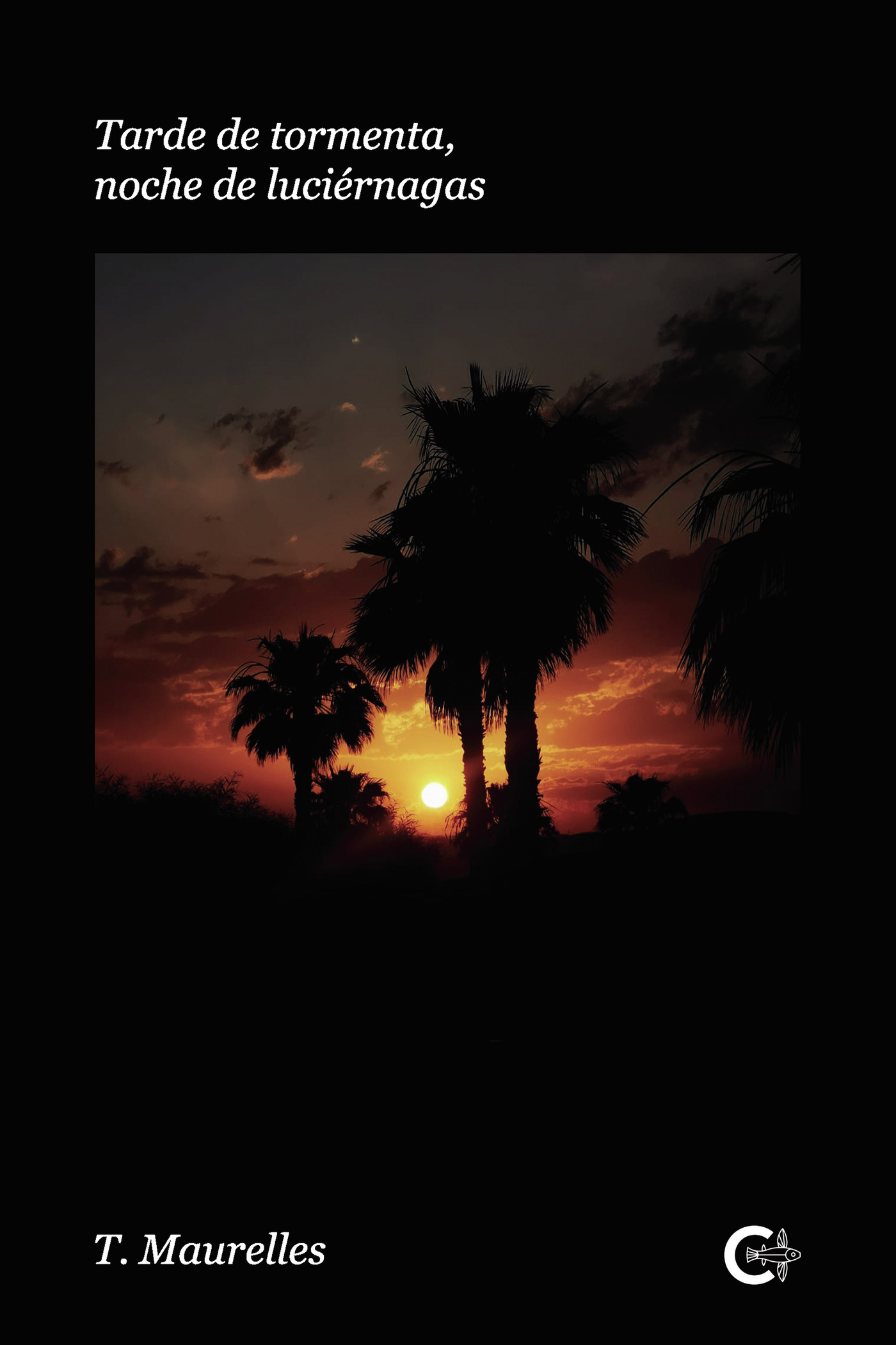 Portada de Tarde de tormenta, noche de luciérnagas