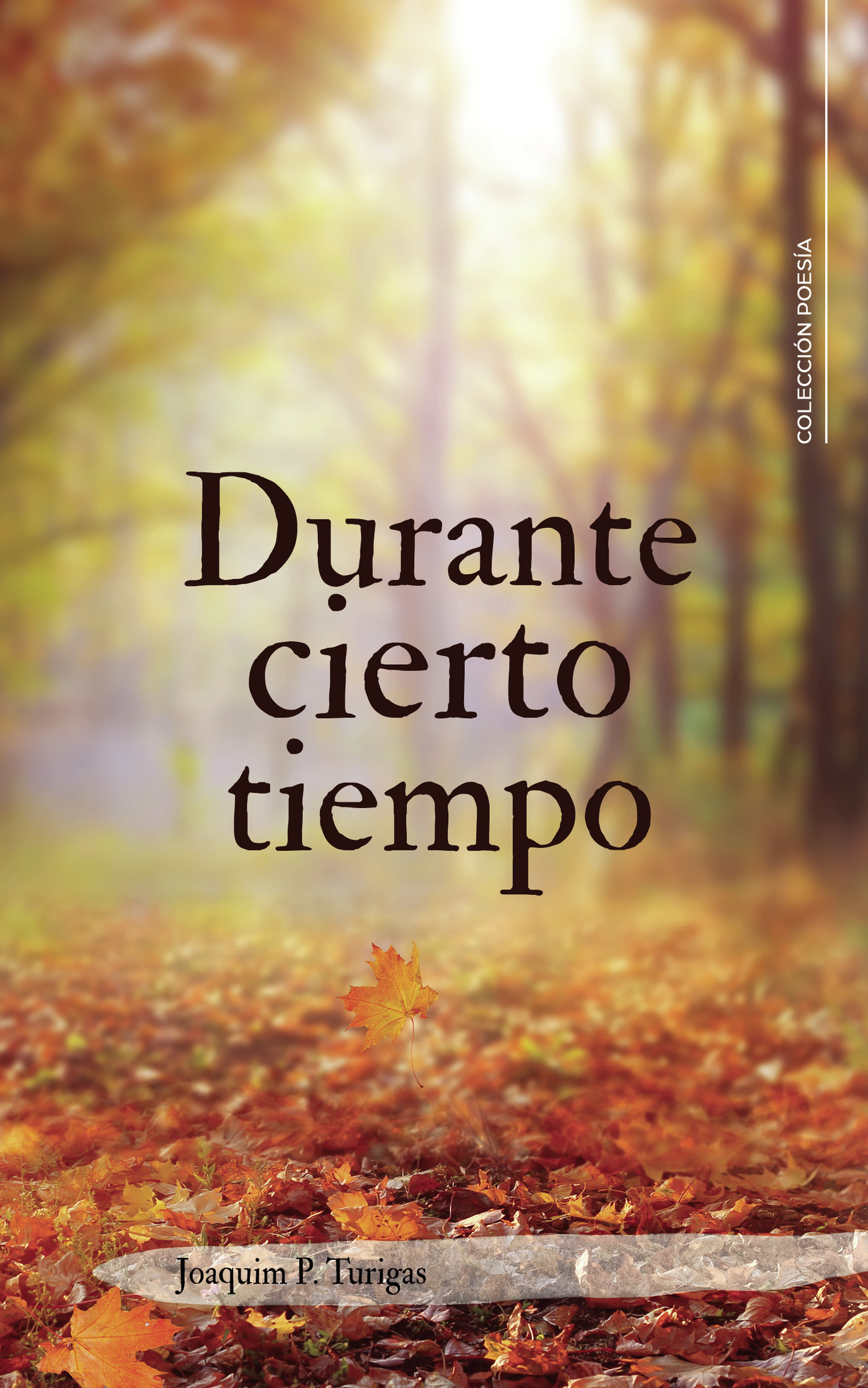Portada de Durante cierto tiempo