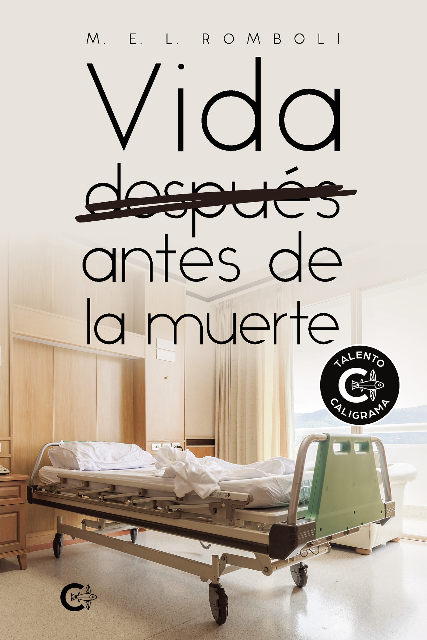 Portada de Vida después antes de la muerte
