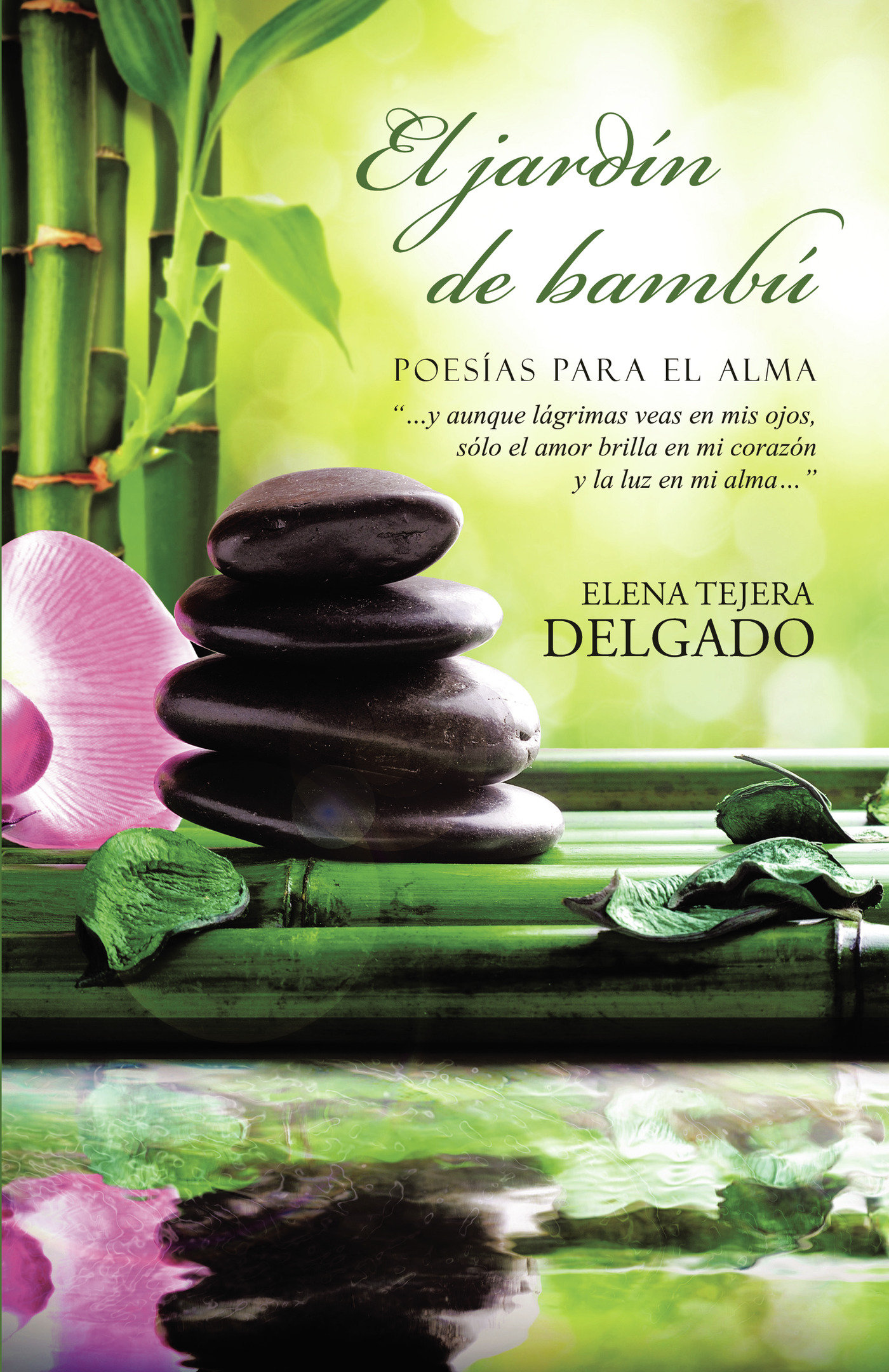 Portada de El jardín de bambú