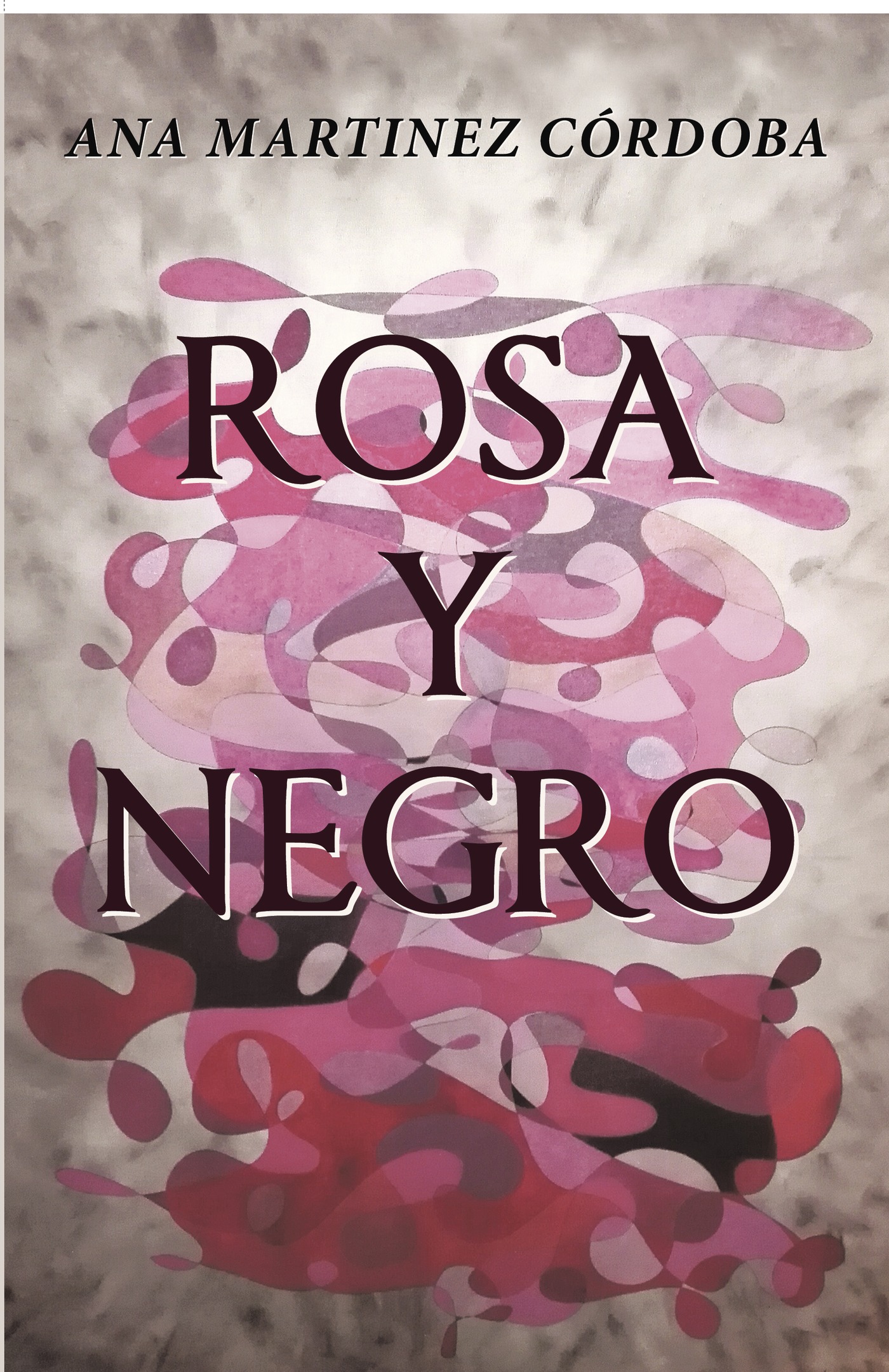 Portada de Rosa y negro