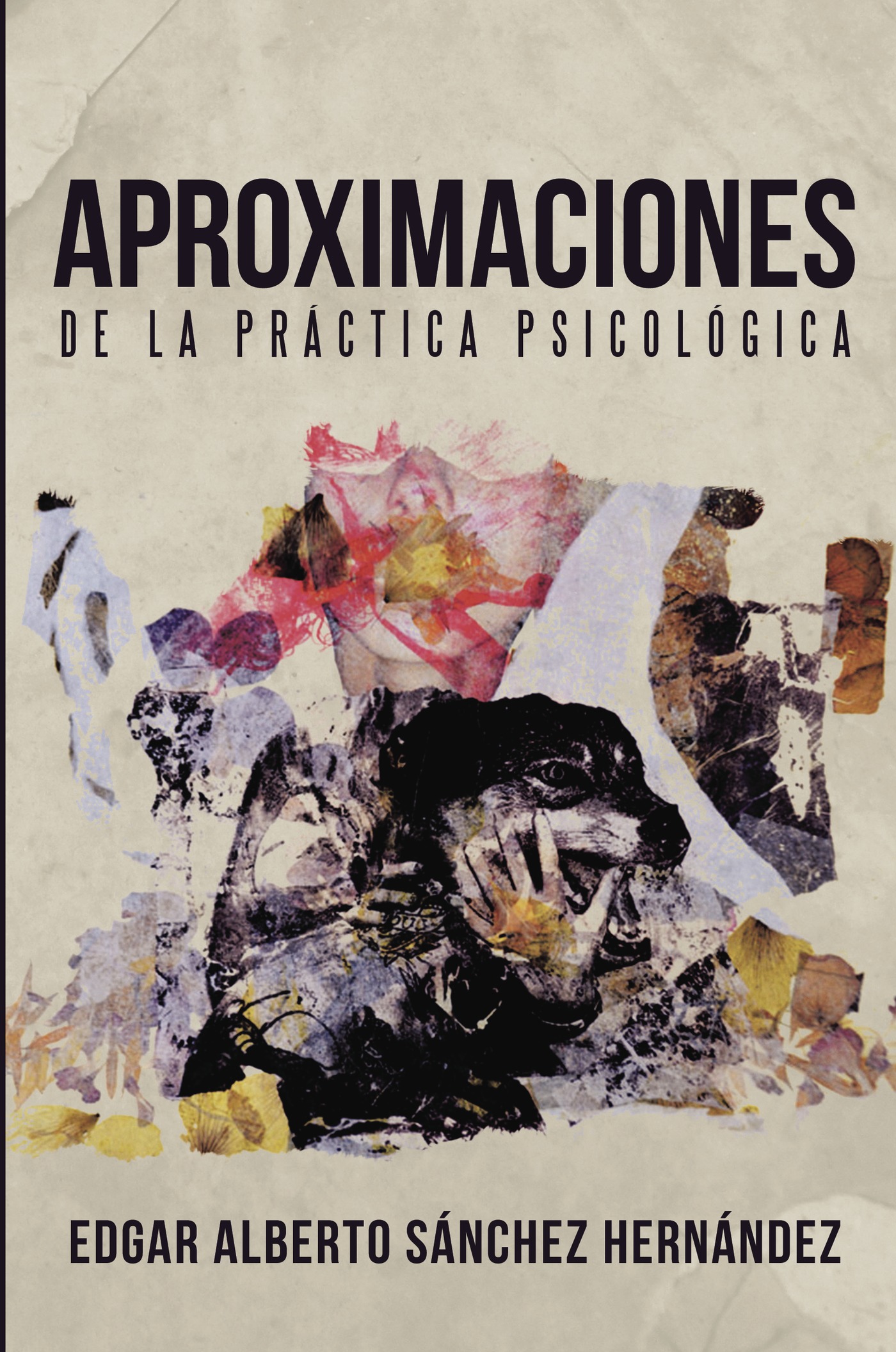 Portada de Aproximaciones de la práctica psicológica