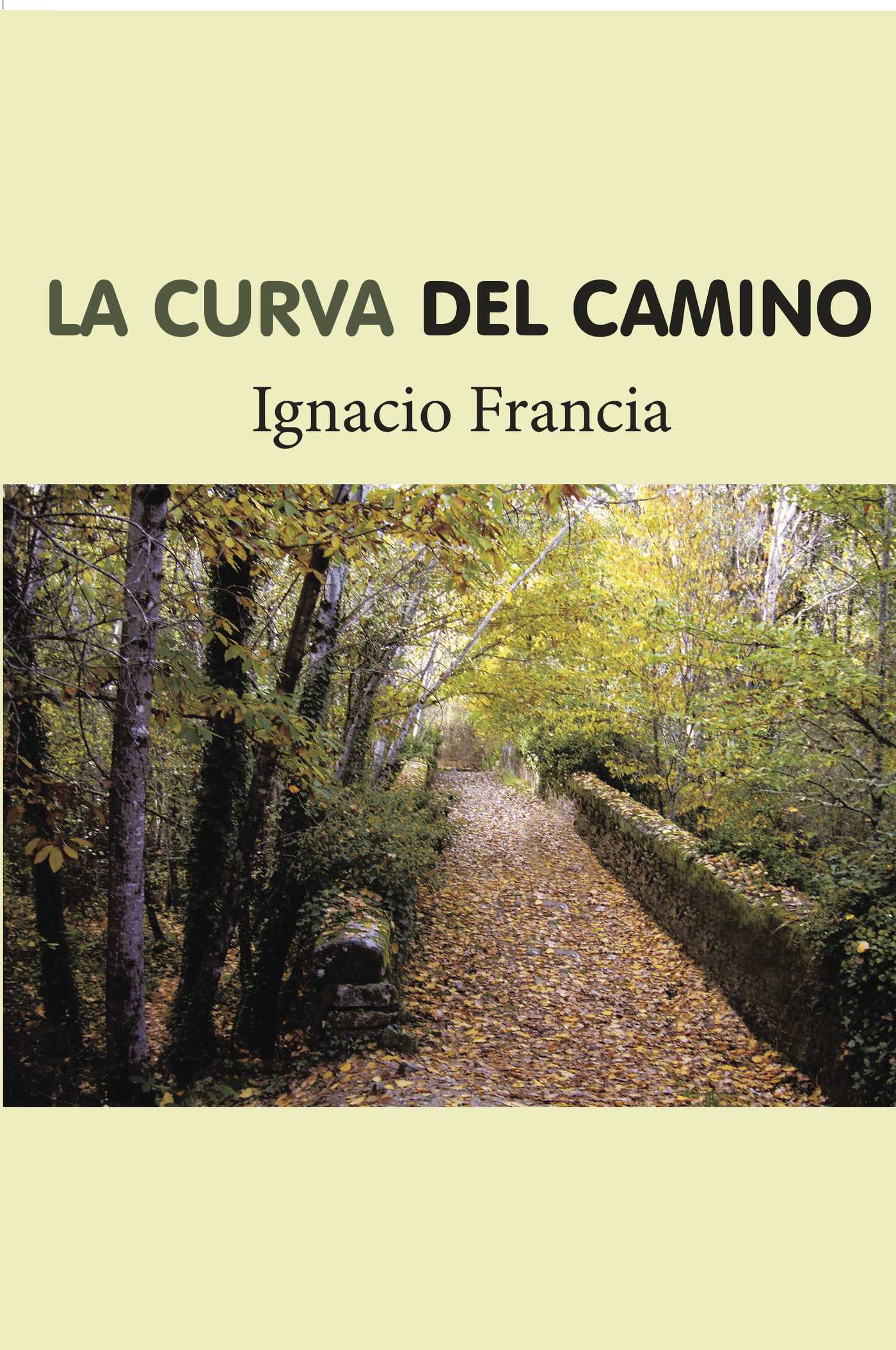 Portada de La curva del camino
