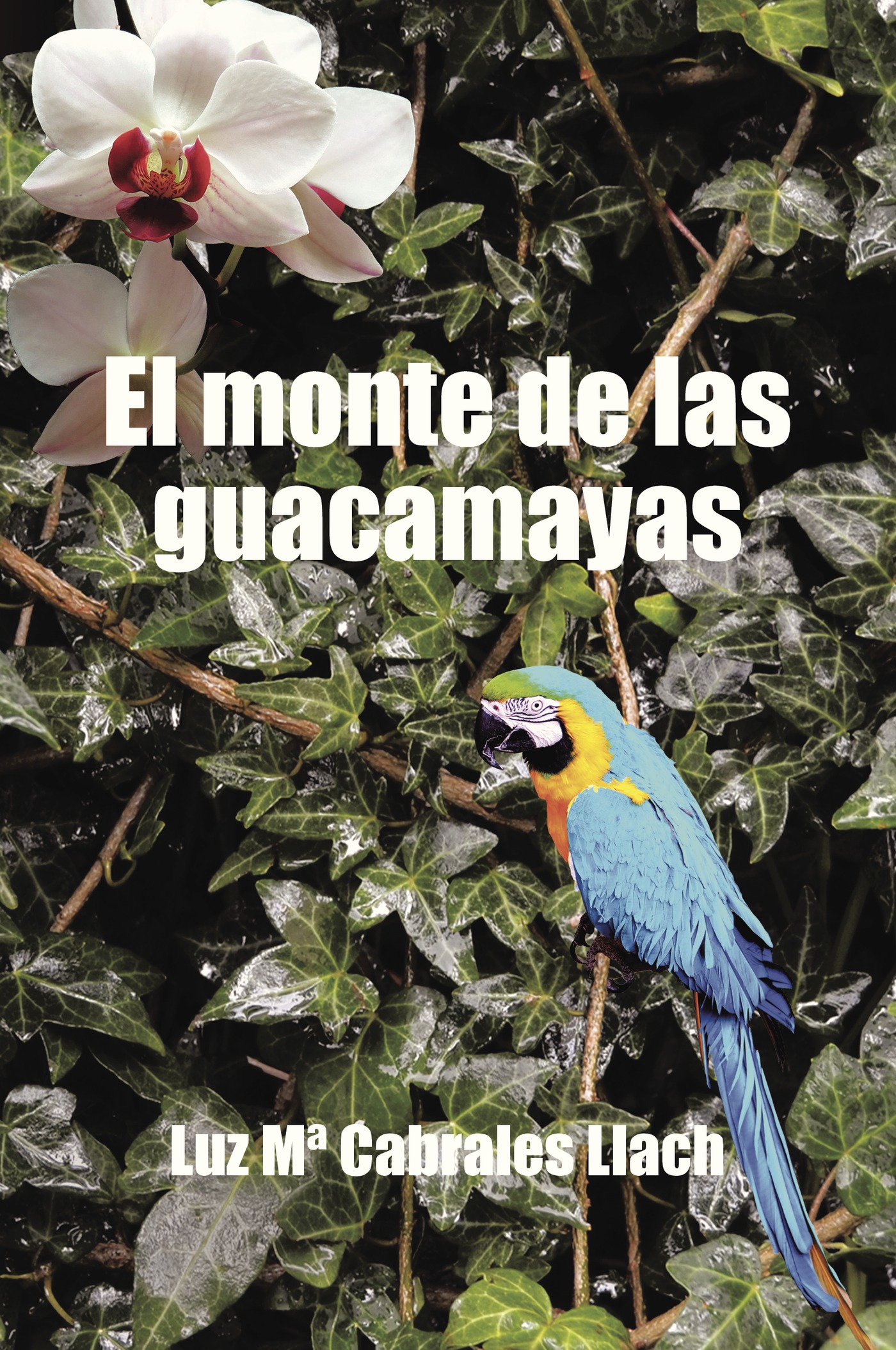 Portada de El monte de las guacamayas · Luz Mª Cabrales Llach