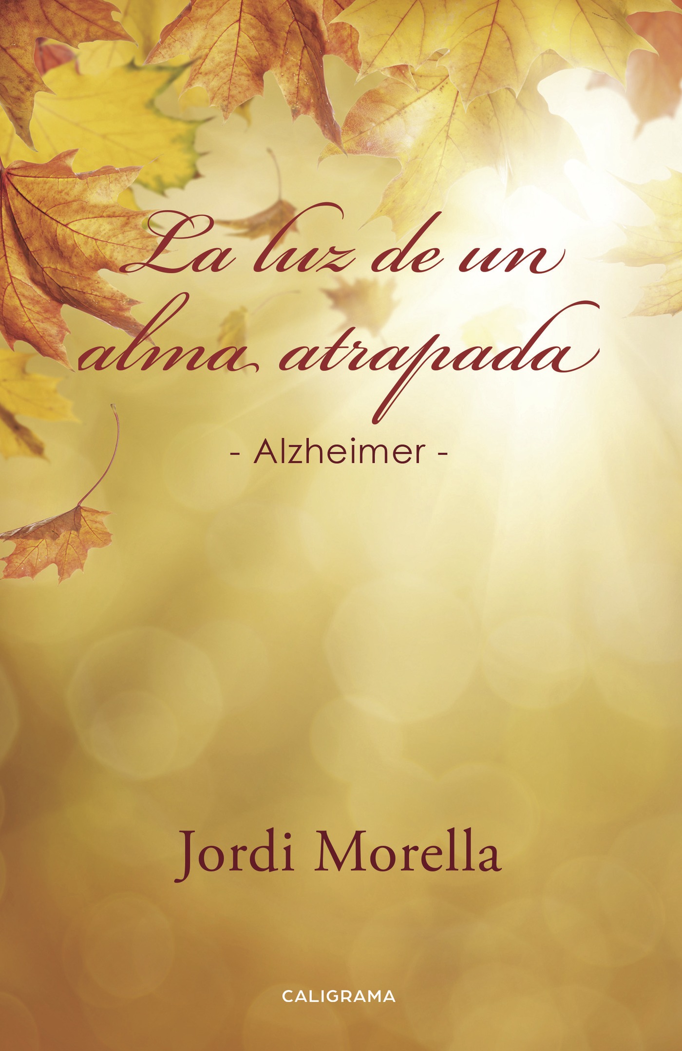 Portada de La luz de un alma atrapada · Jordi Morella