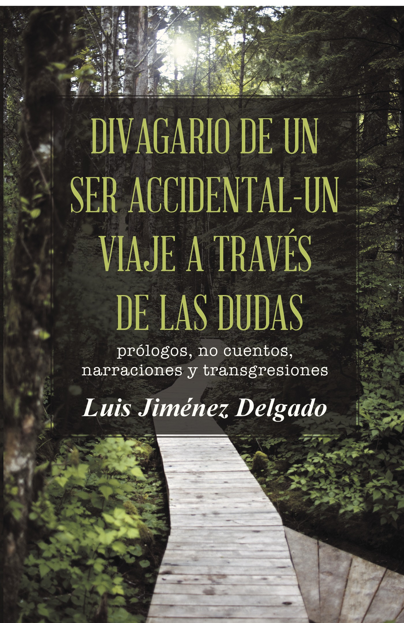 Portada de Divagario de un ser accidental-un viaje a través de las dudas · Luis Jiménez Delgado