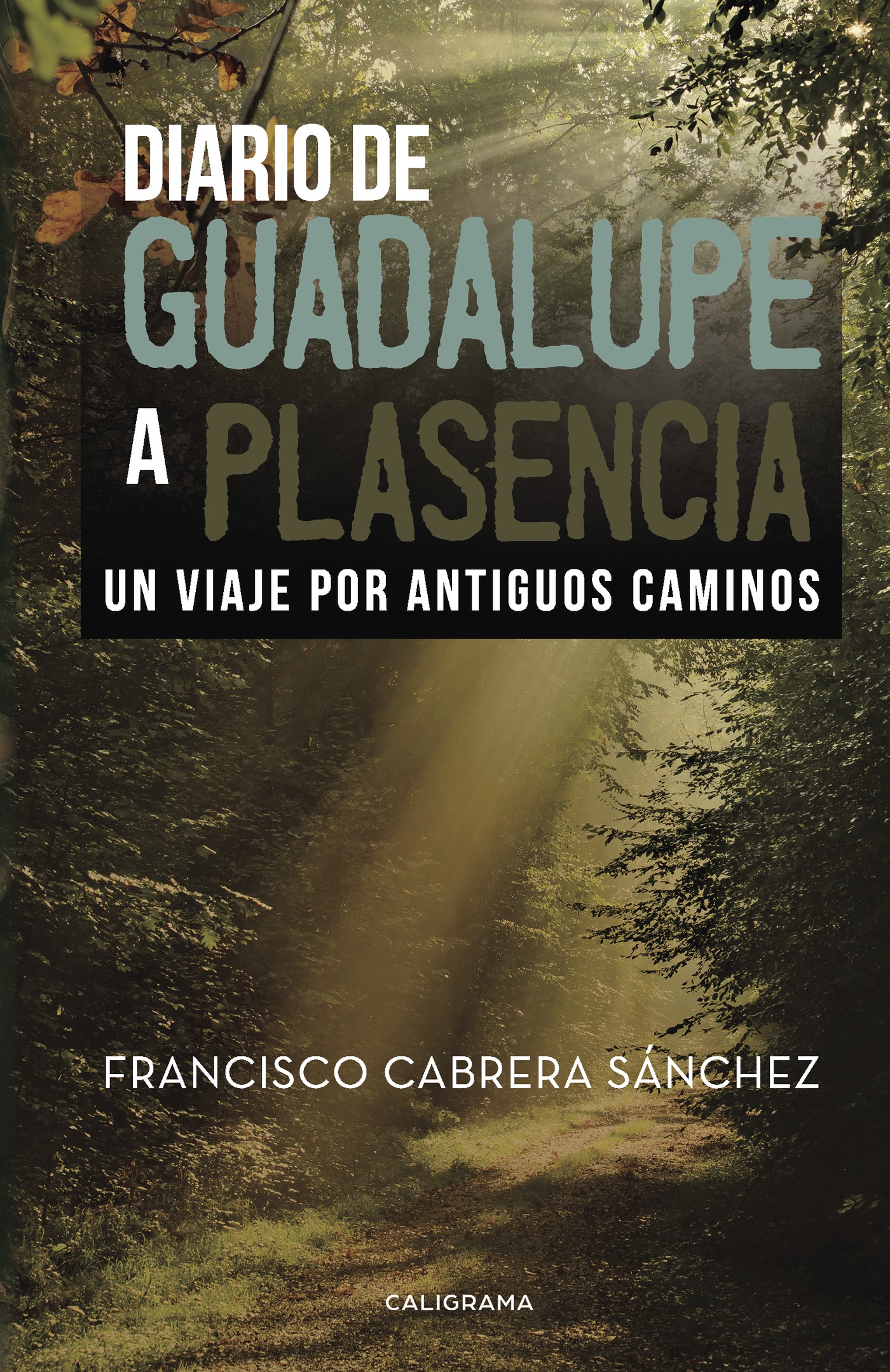 Portada de Diario de Guadalupe a Plasencia