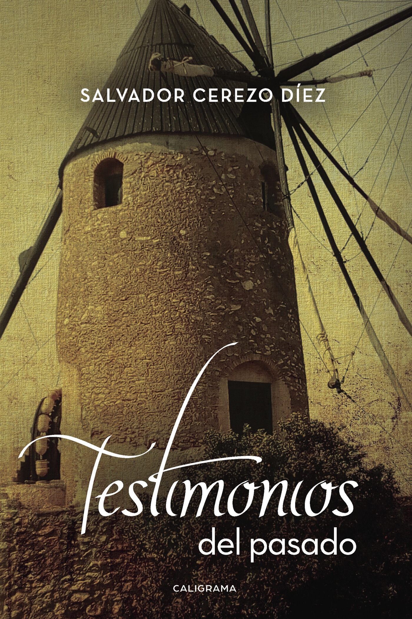 Portada de Testimonios del pasado
