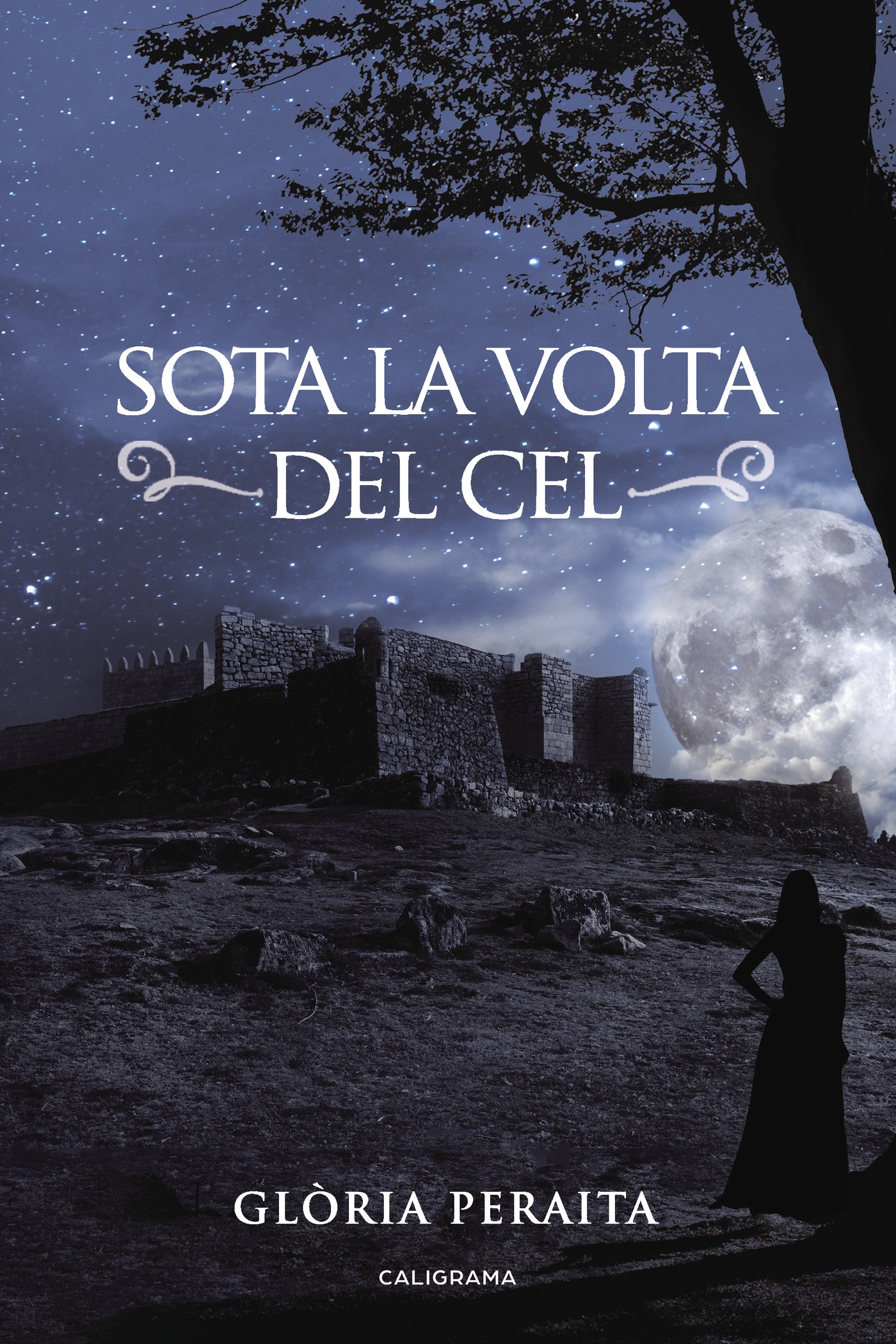 Portada de Sota la volta del cel