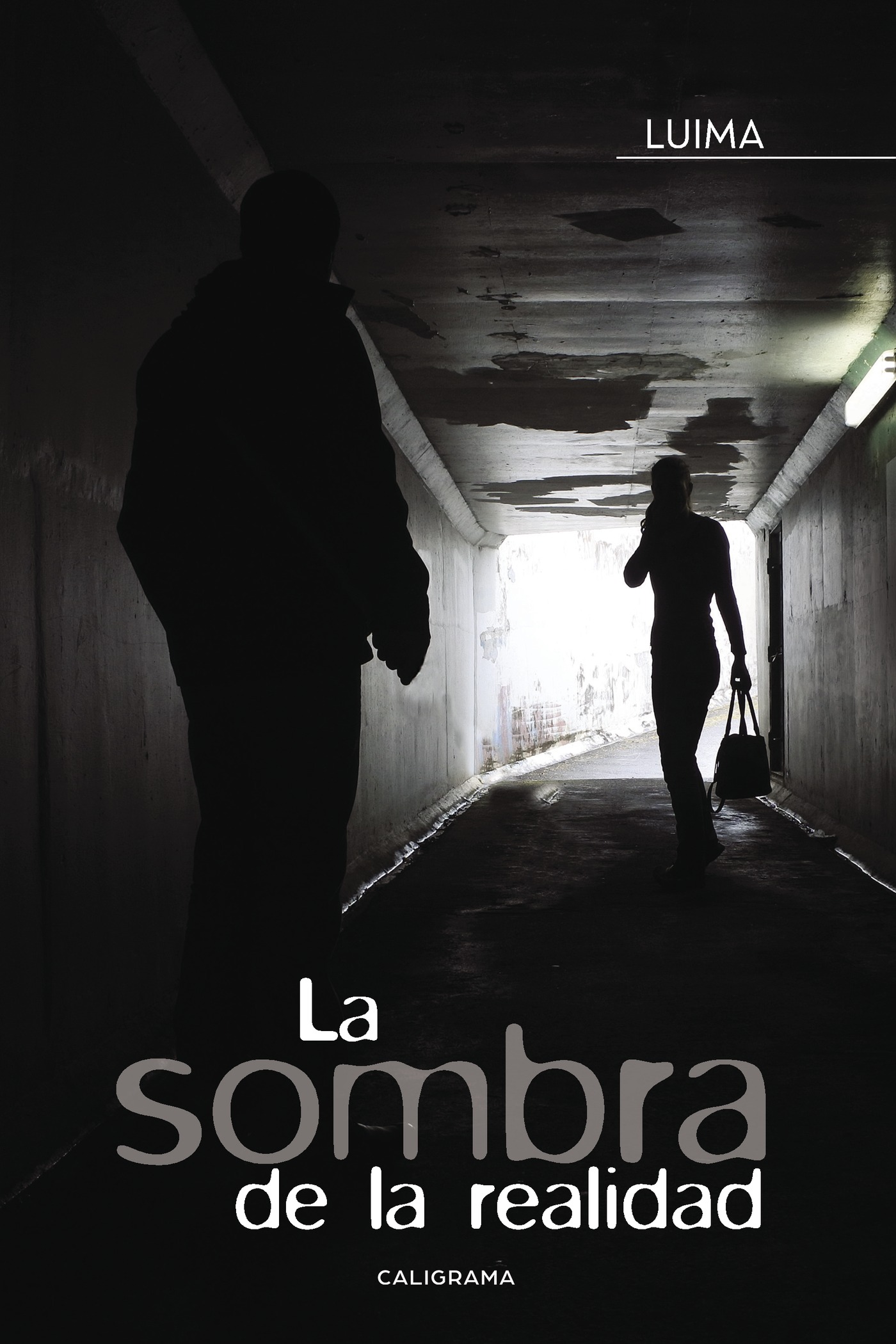 Portada de La sombra de la realidad