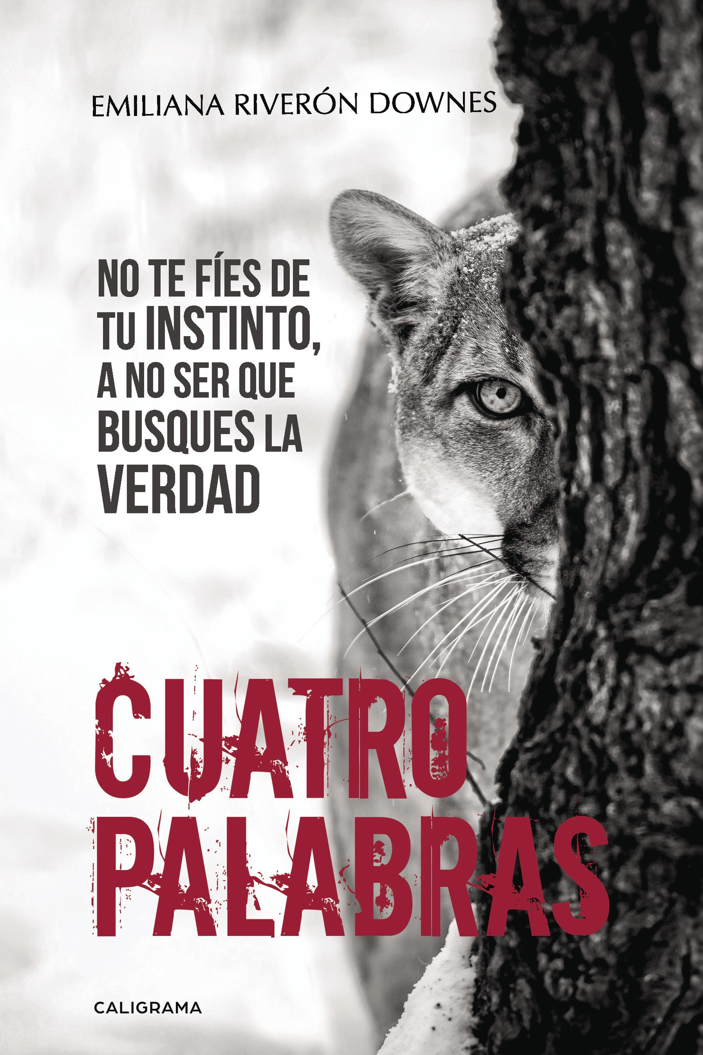 Portada de Cuatro palabras · Emiliana Riverón Downes
