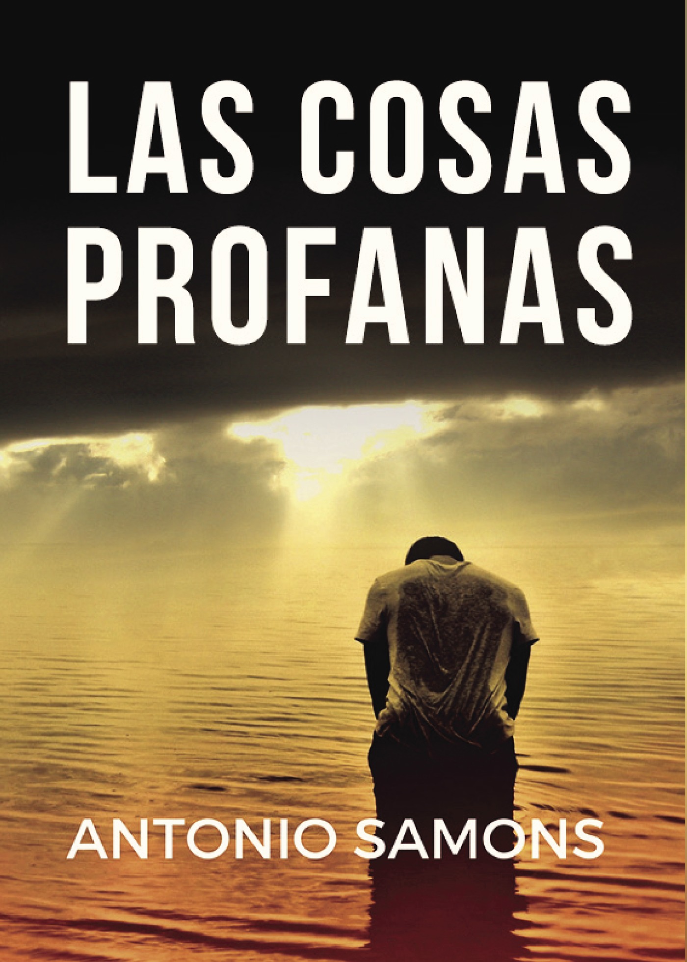 Portada de las cosas profanas