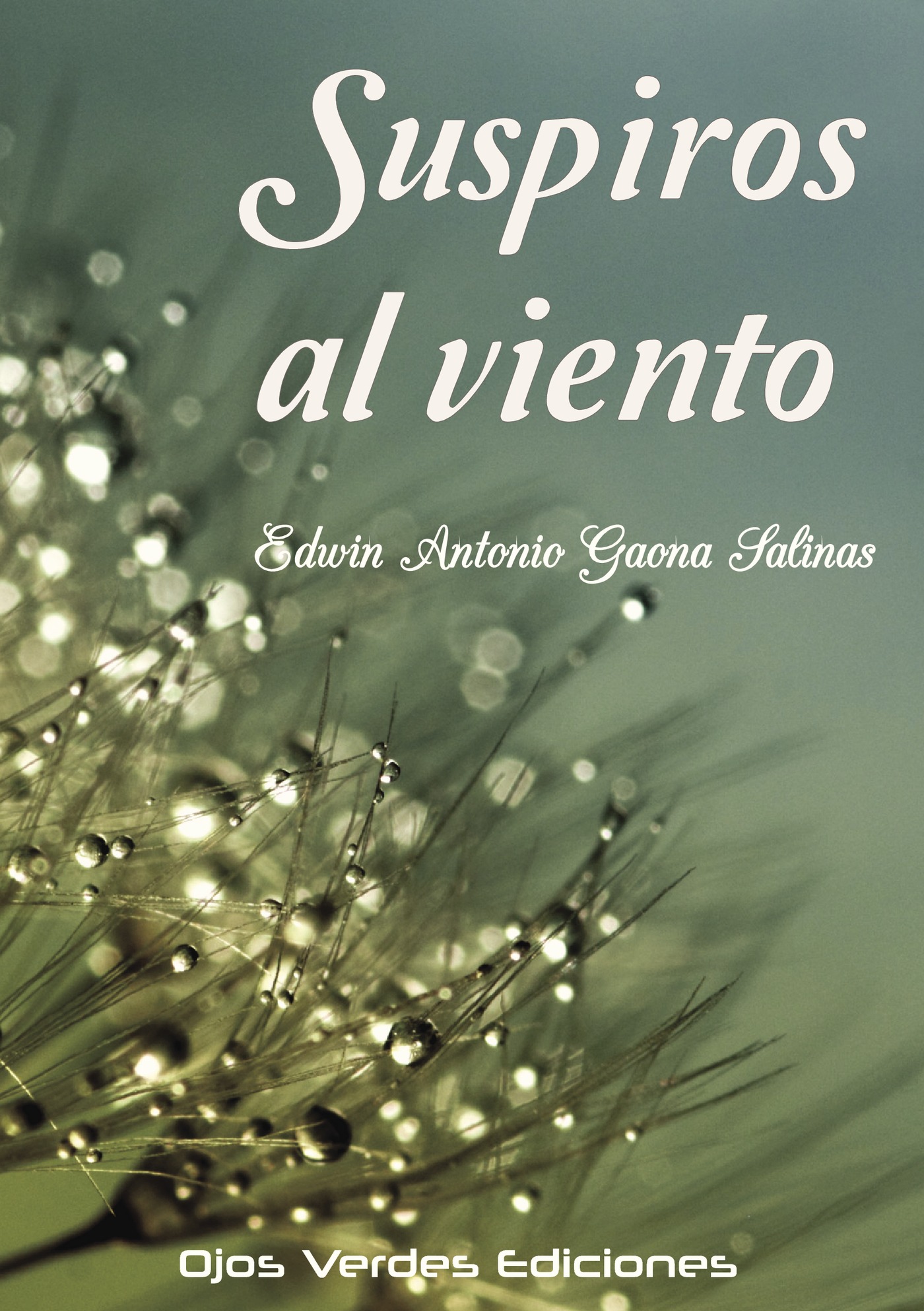 Portada de Suspiros Al viento · Edwin Antonio Gaona Salinas