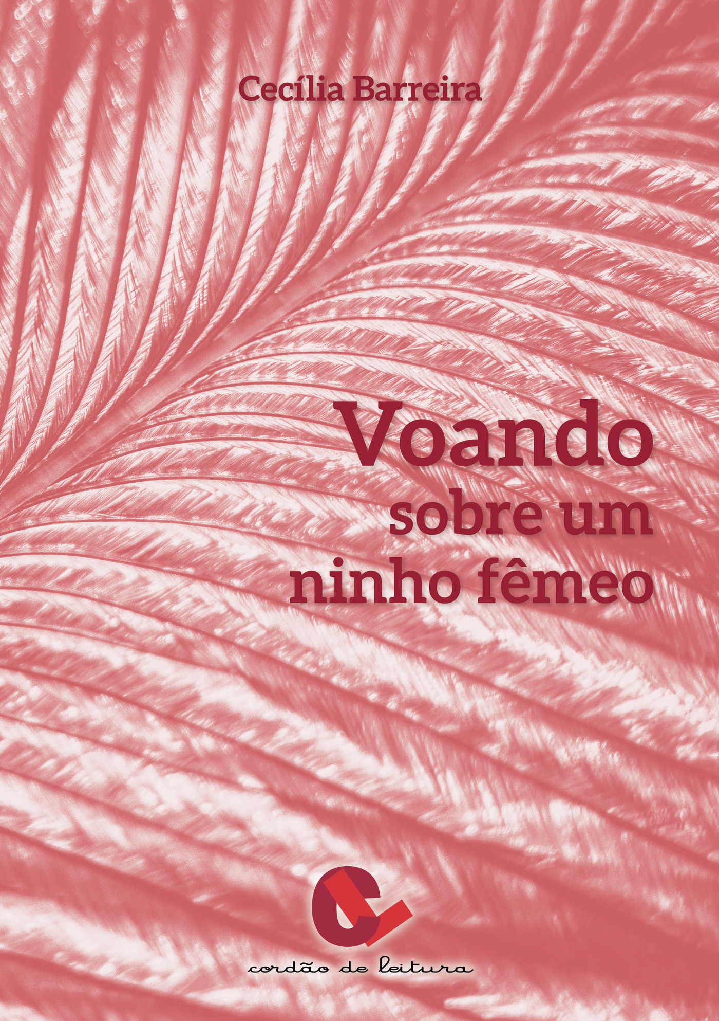 Portada de Voando Sobre um Ninho FÛªmeo