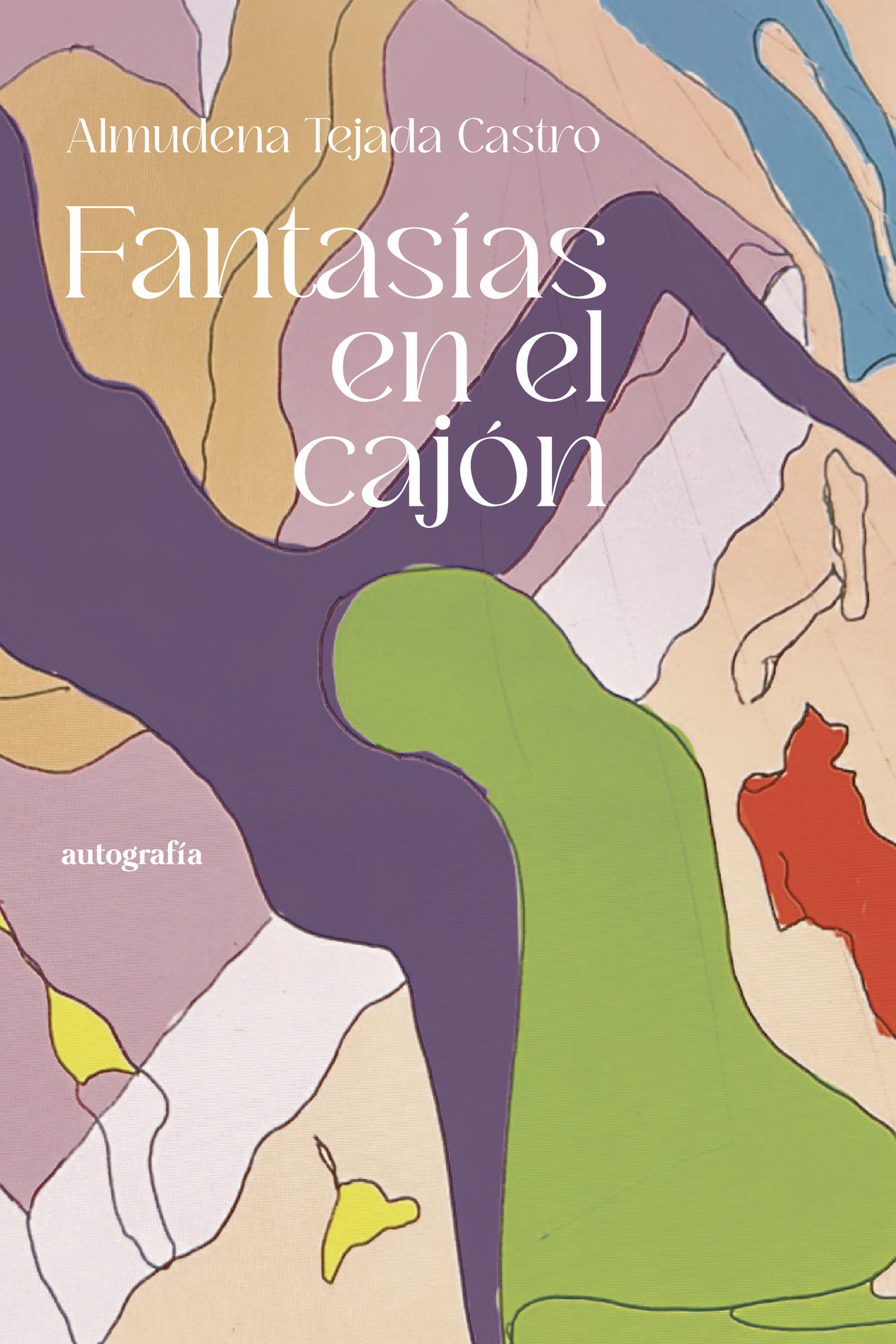 Portada de Fantasías en el cajón