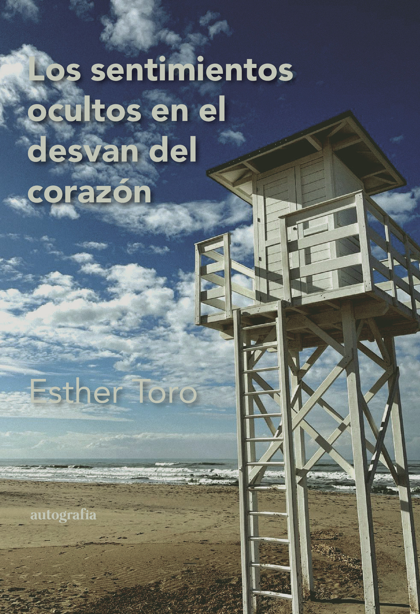 Portada de Los sentimientos ocultos en el desván del corazón