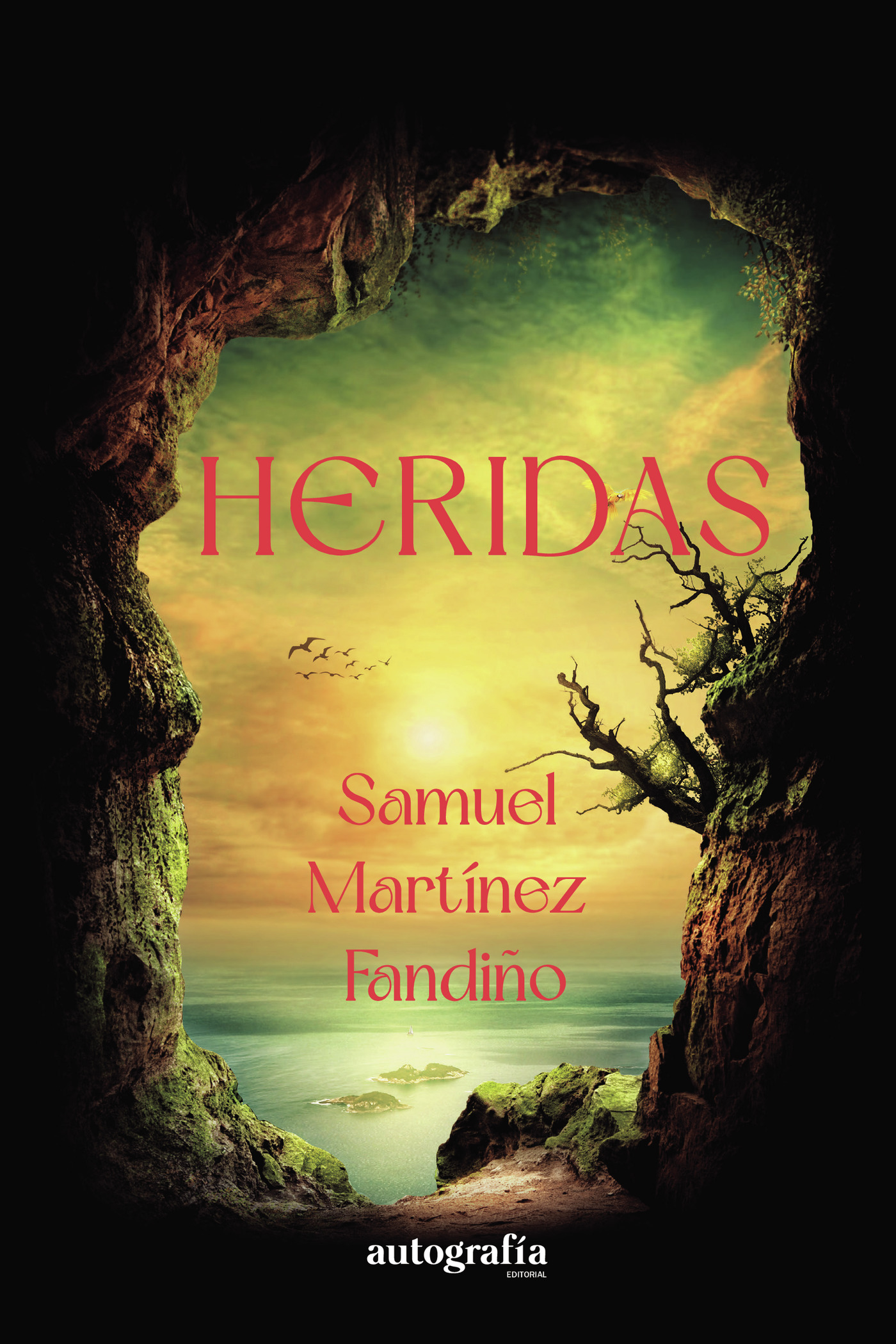 Portada de Heridas